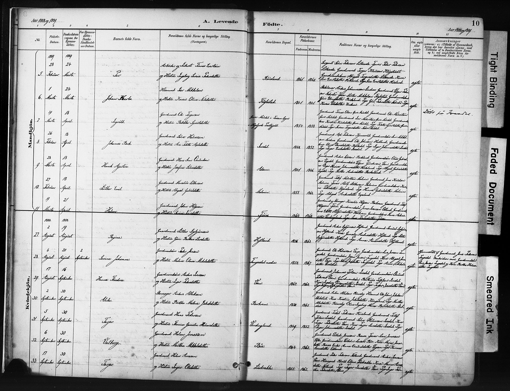 Helleland sokneprestkontor, AV/SAST-A-101810: Parish register (official) no. A 9, 1887-1908, p. 10