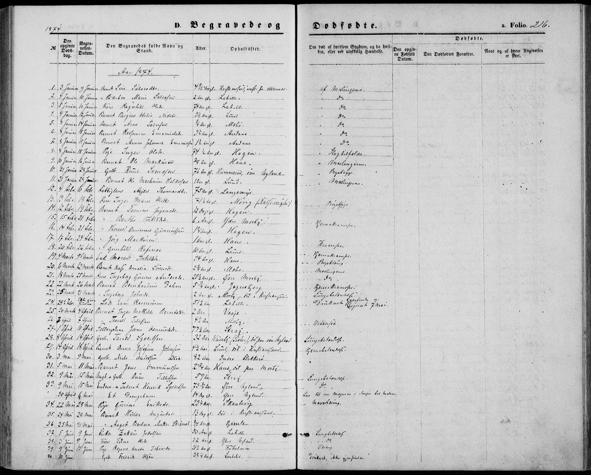 Oddernes sokneprestkontor, AV/SAK-1111-0033/F/Fb/Fba/L0007: Parish register (copy) no. B 7, 1869-1887, p. 216