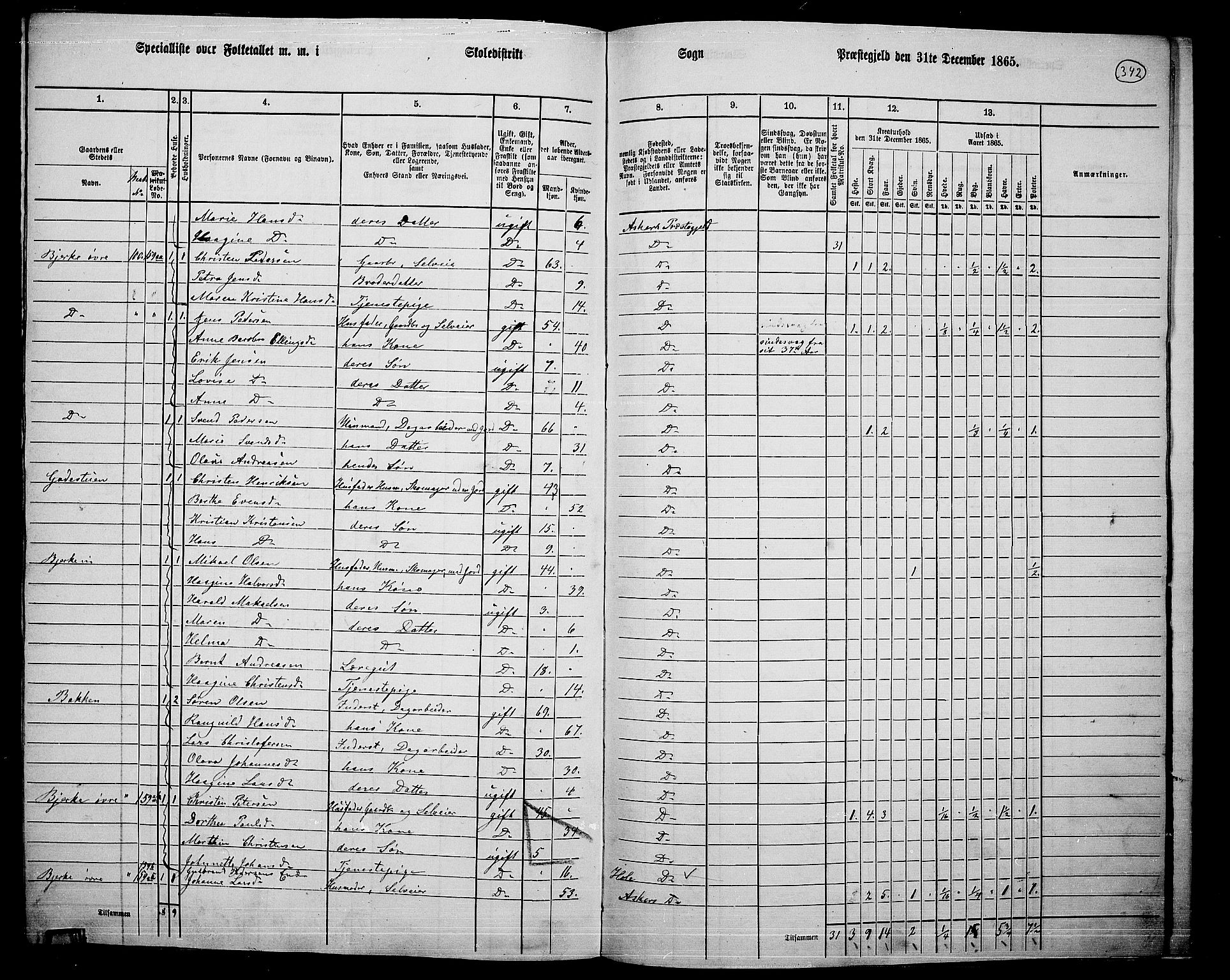 RA, 1865 census for Asker, 1865, p. 326