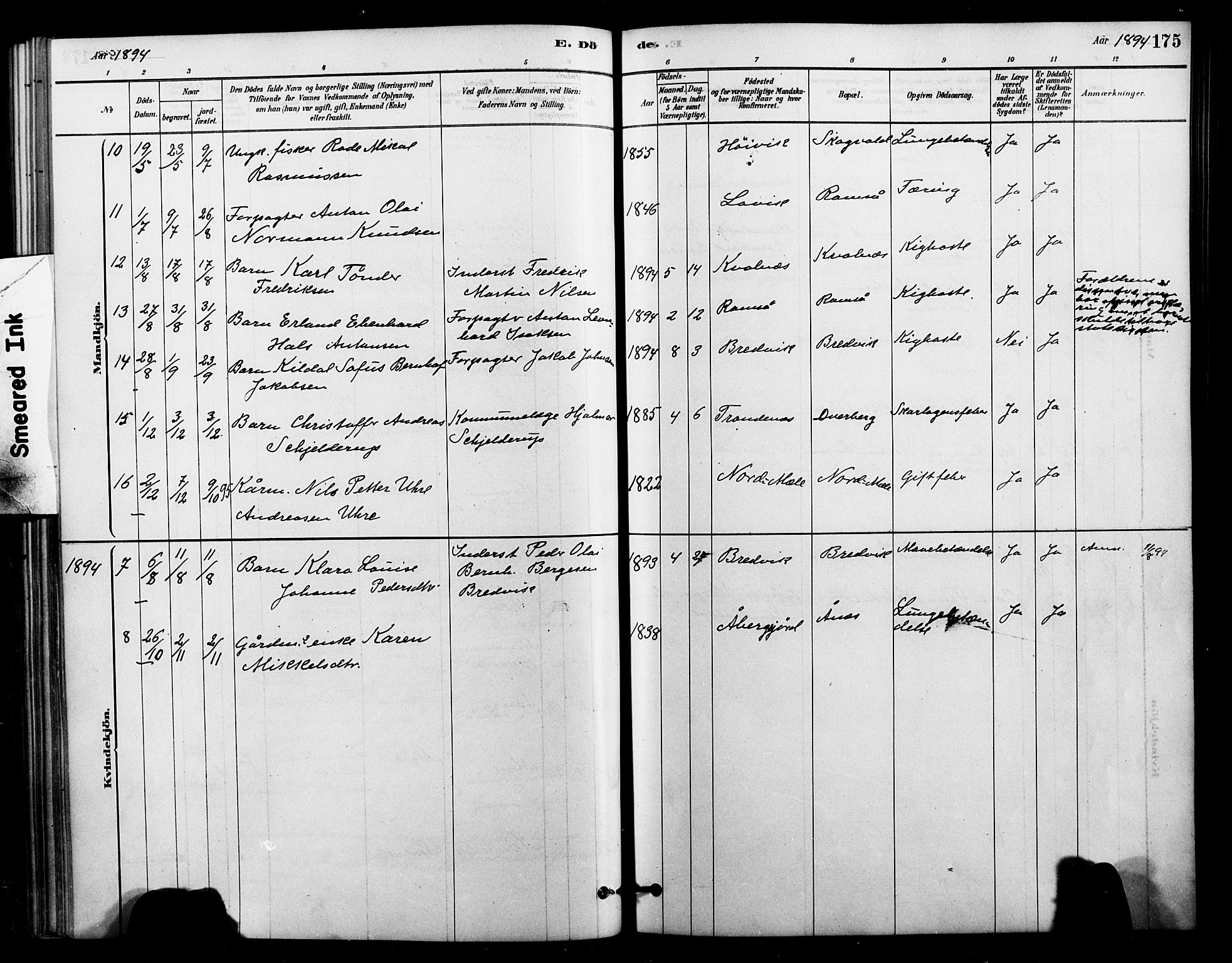 Ministerialprotokoller, klokkerbøker og fødselsregistre - Nordland, AV/SAT-A-1459/897/L1399: Parish register (official) no. 897C06, 1881-1896, p. 175