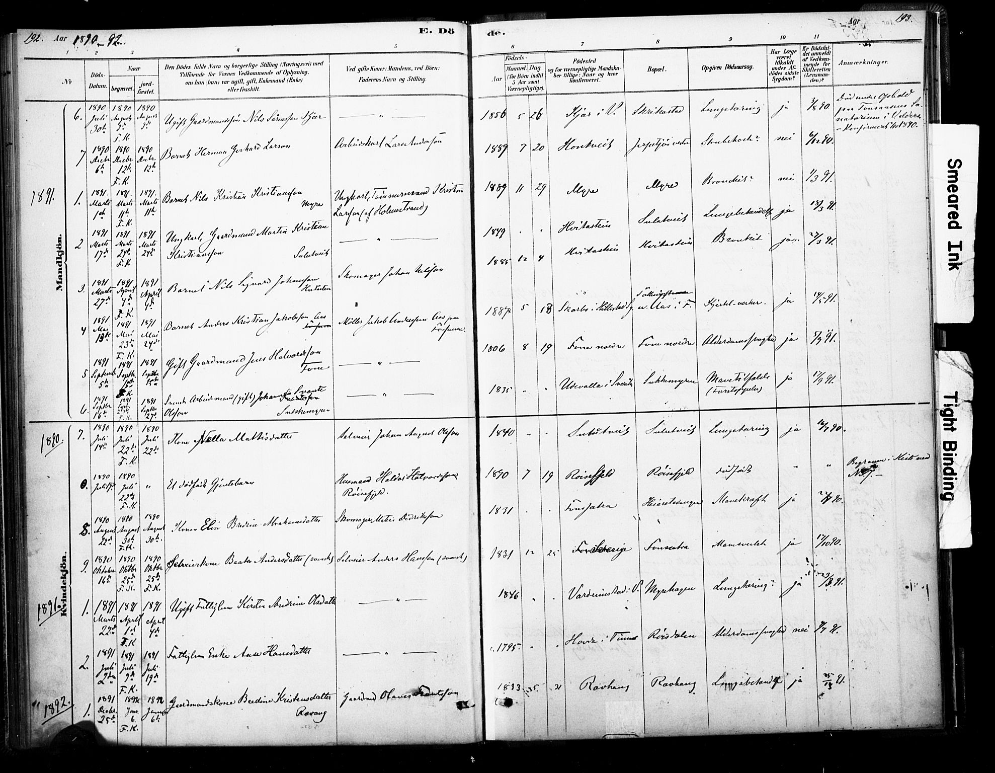 Ramnes kirkebøker, SAKO/A-314/F/Fb/L0001: Parish register (official) no. II 1, 1878-1894, p. 192-193