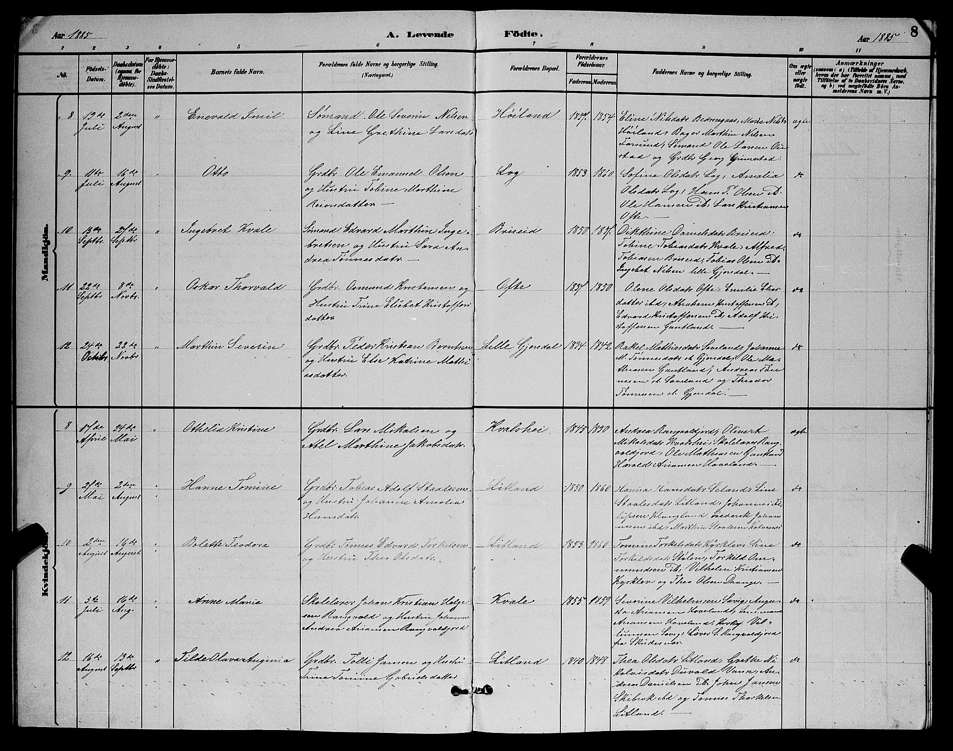 Herad sokneprestkontor, AV/SAK-1111-0018/F/Fb/Fba/L0004: Parish register (copy) no. B 4, 1882-1899, p. 8