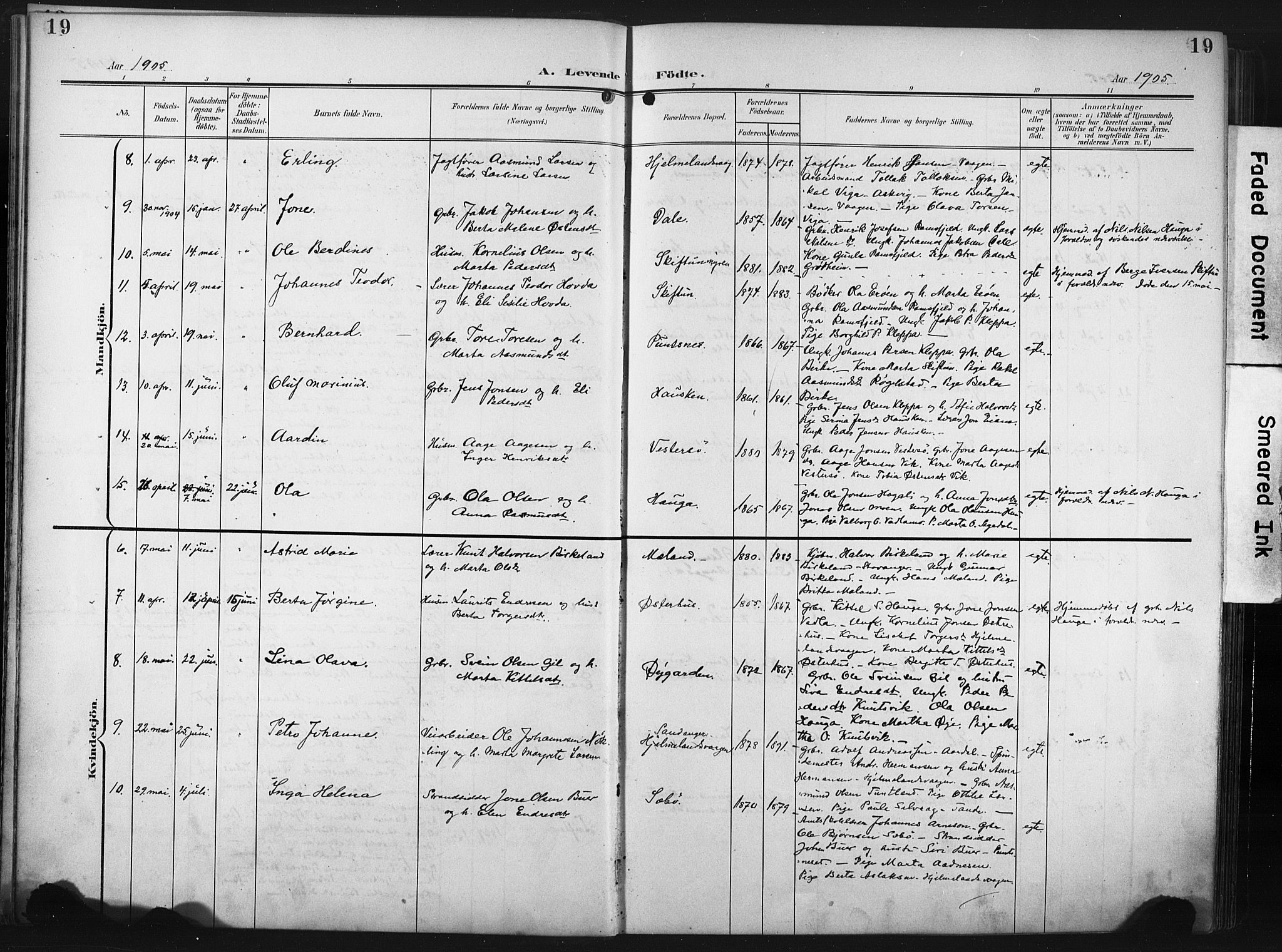 Hjelmeland sokneprestkontor, AV/SAST-A-101843/02/A/L0002: Parish register (official) no. A 17, 1901-1916, p. 19