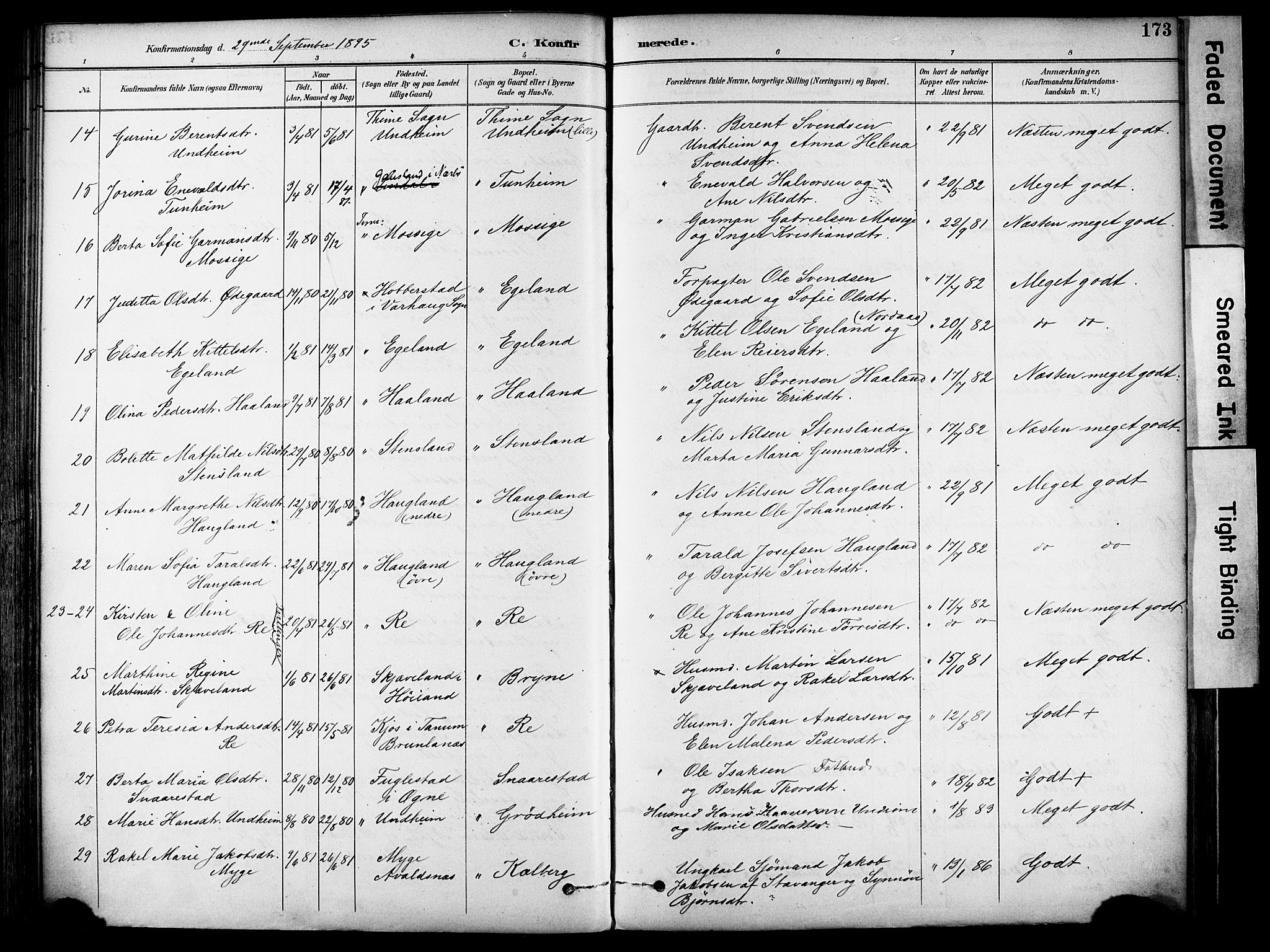 Lye sokneprestkontor, AV/SAST-A-101794/001/30BA/L0011: Parish register (official) no. A 9, 1893-1903, p. 173