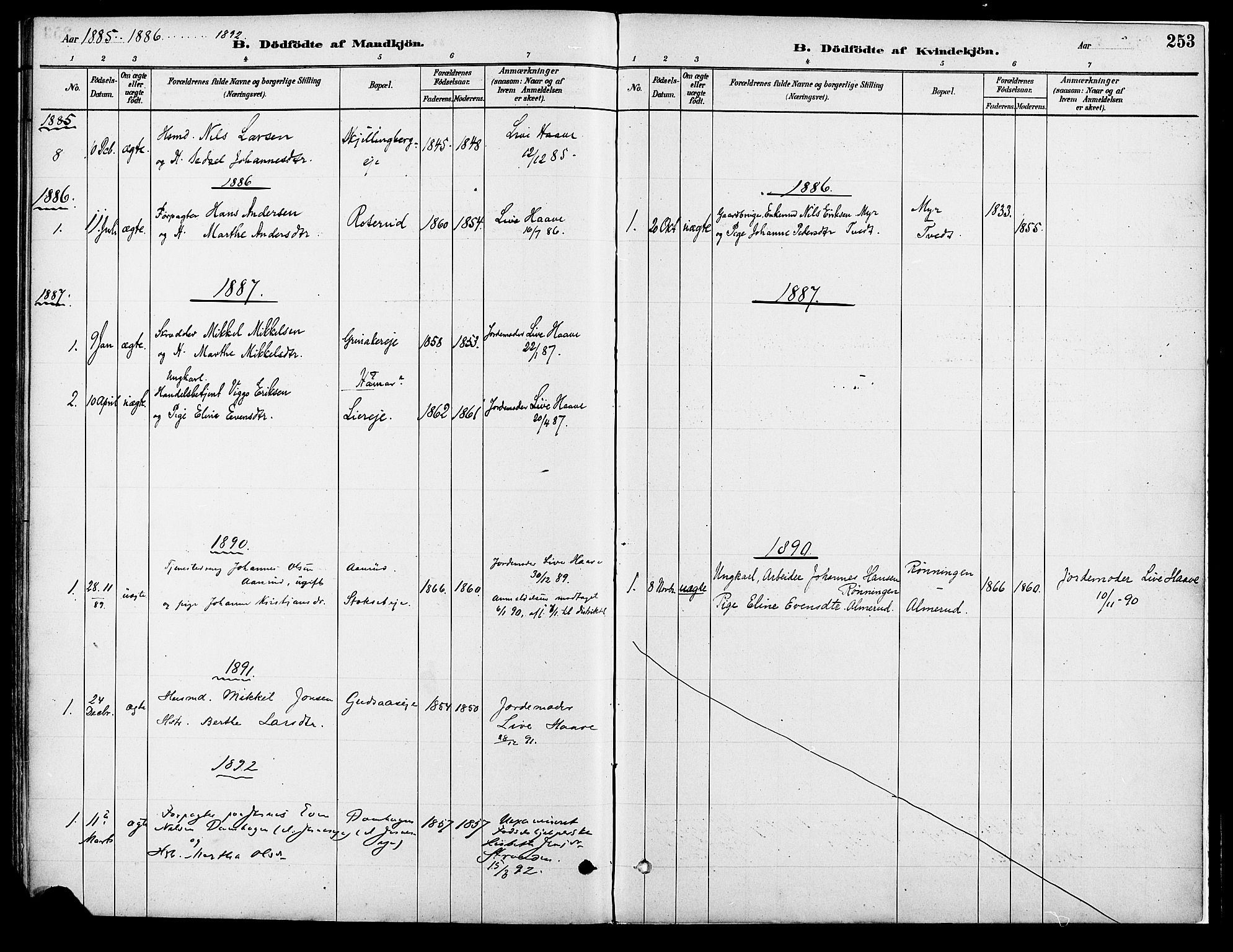 Vang prestekontor, Hedmark, SAH/PREST-008/H/Ha/Haa/L0018A: Parish register (official) no. 18A, 1880-1906, p. 253