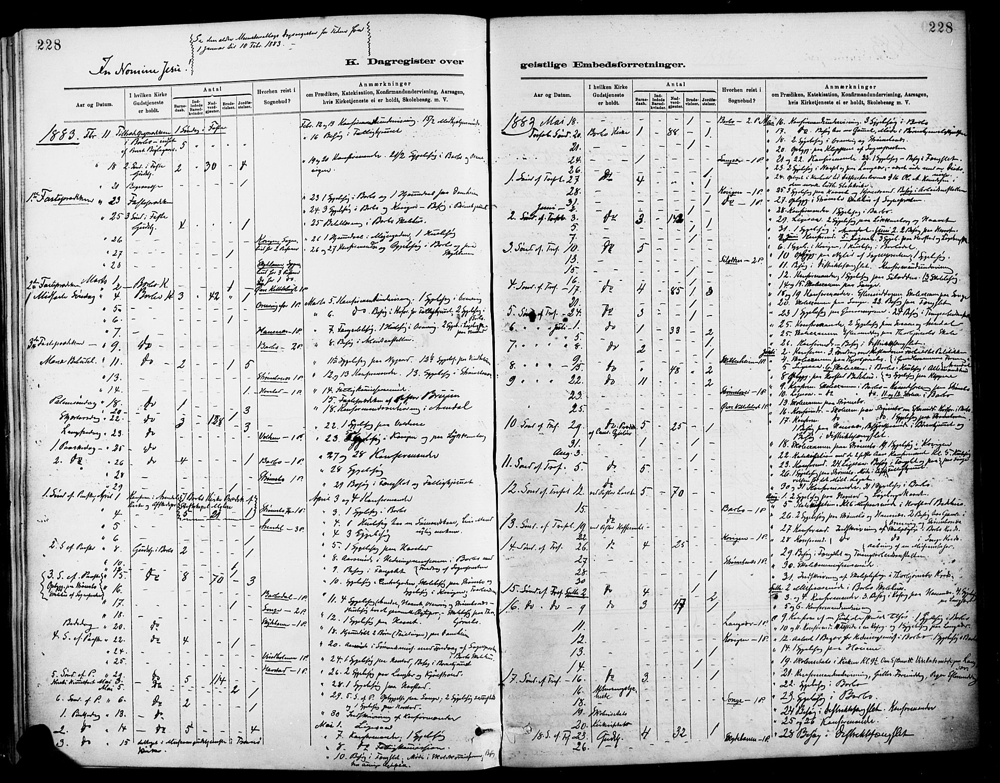 Barbu sokneprestkontor, AV/SAK-1111-0003/F/Fa/L0003: Parish register (official) no. A 3, 1883-1898, p. 228