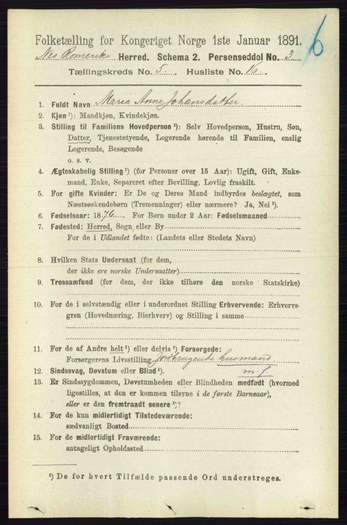 RA, 1891 census for 0236 Nes, 1891, p. 2880