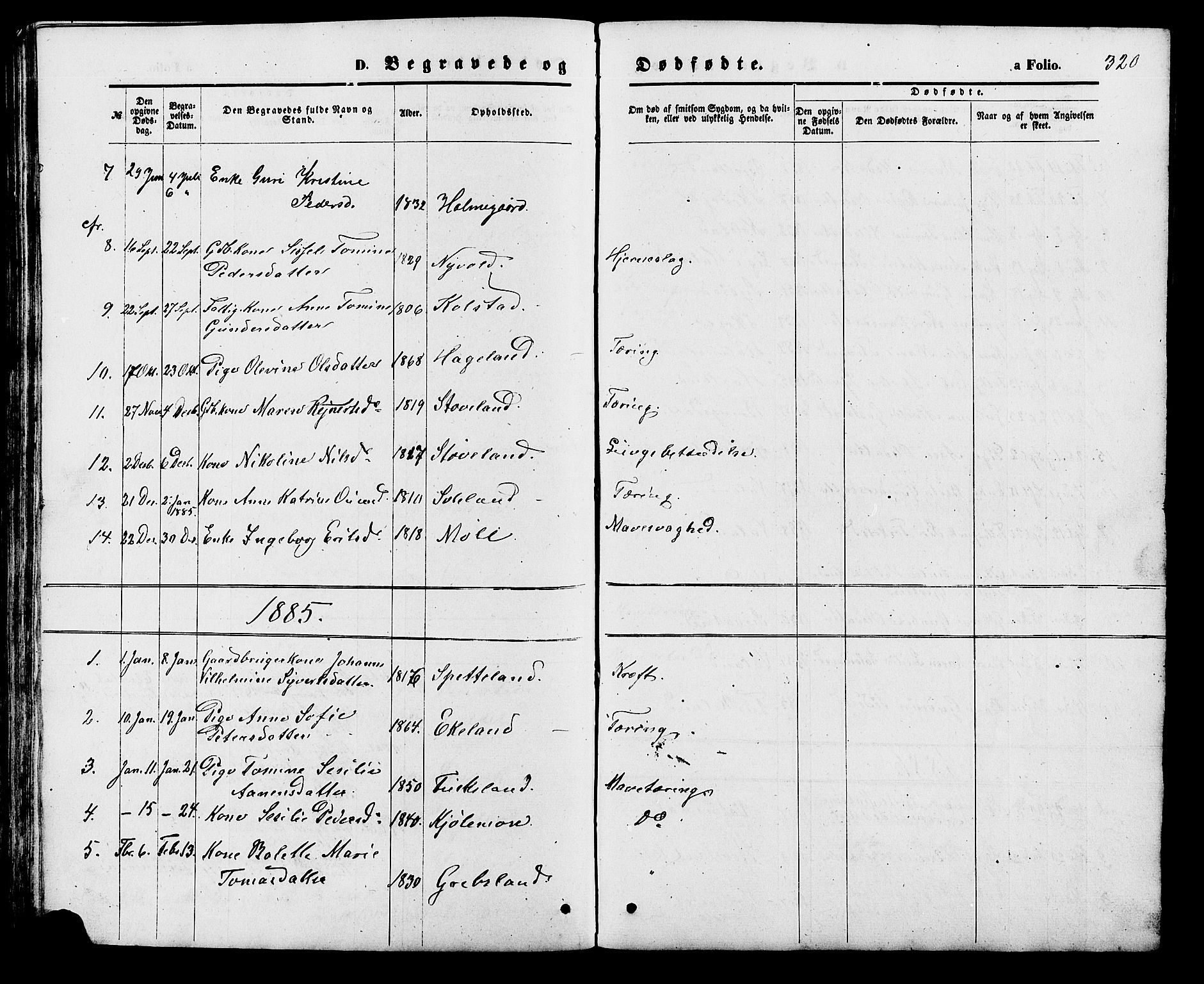 Holum sokneprestkontor, SAK/1111-0022/F/Fb/Fba/L0004: Parish register (copy) no. B 4, 1867-1890, p. 320