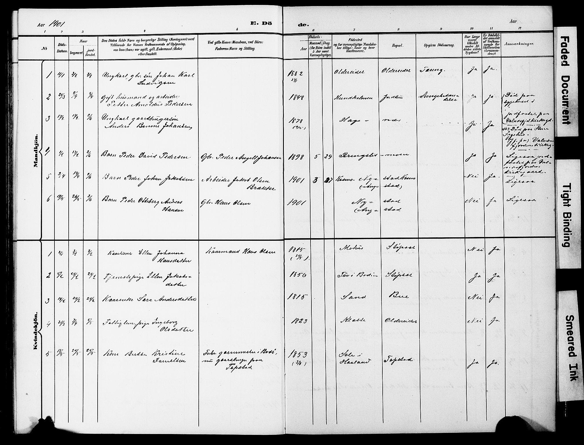 Ministerialprotokoller, klokkerbøker og fødselsregistre - Nordland, SAT/A-1459/852/L0755: Parish register (copy) no. 852C06, 1895-1902