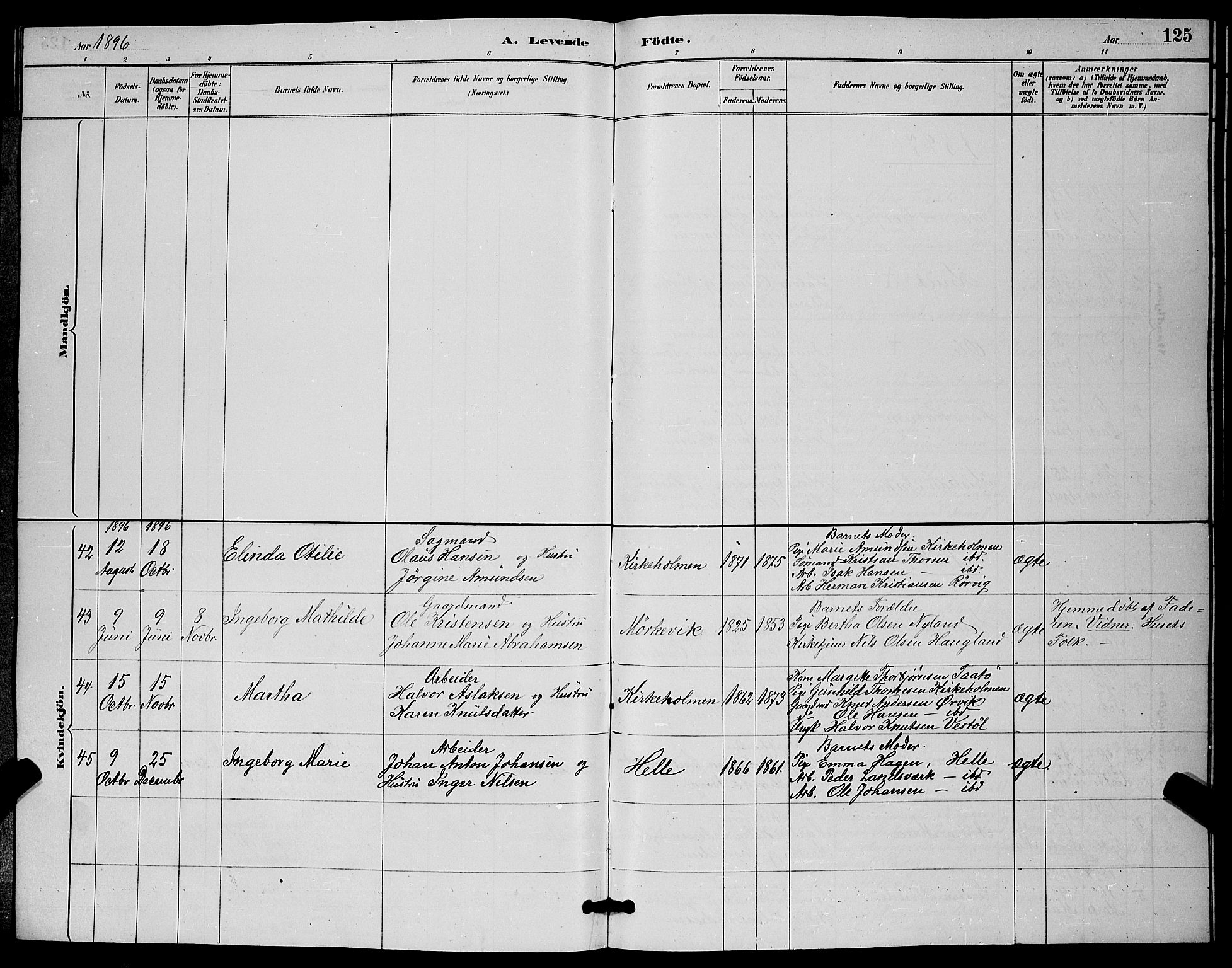 Skåtøy kirkebøker, SAKO/A-304/G/Ga/L0003: Parish register (copy) no. I 3, 1884-1898, p. 125