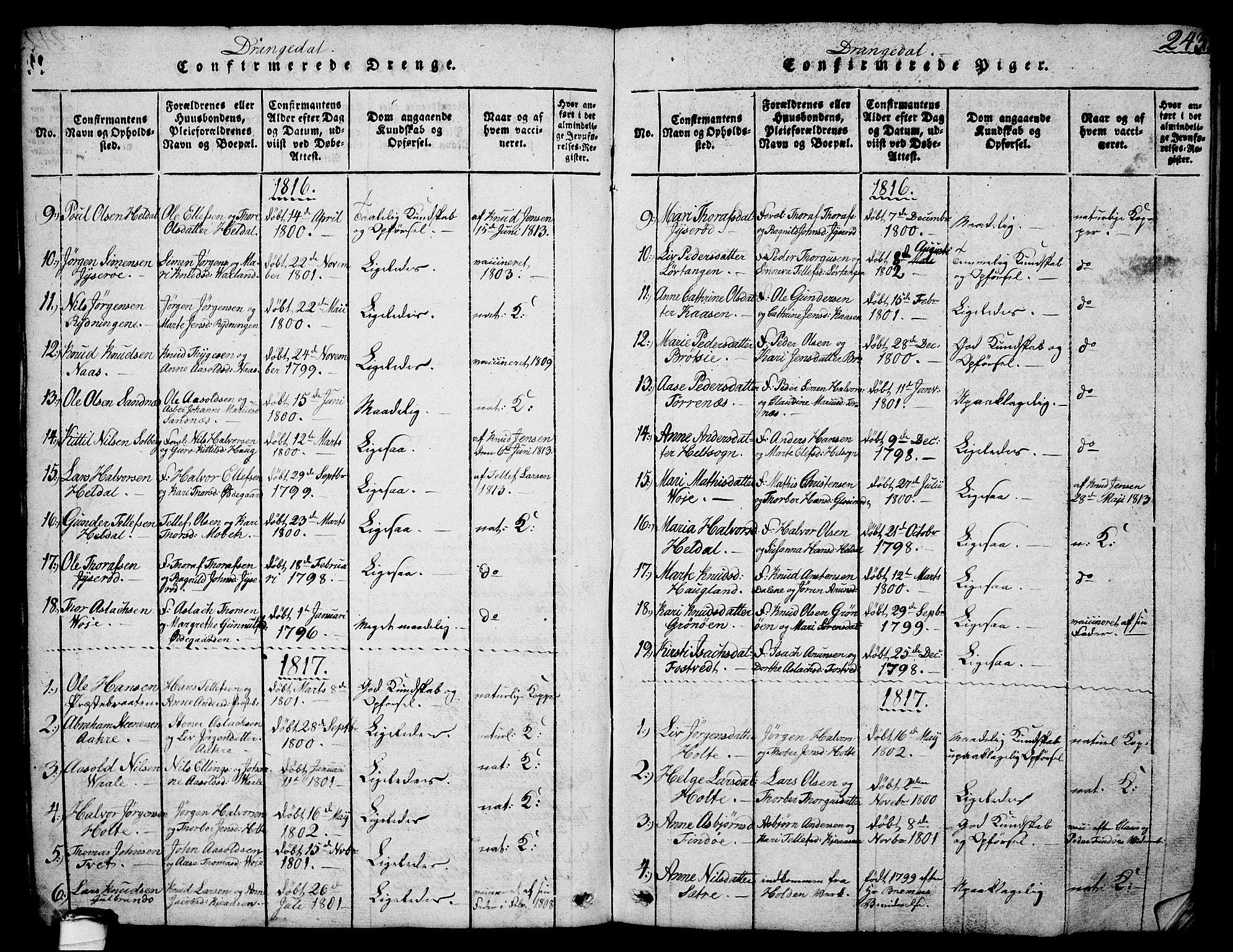 Drangedal kirkebøker, SAKO/A-258/G/Ga/L0001: Parish register (copy) no. I 1 /1, 1814-1856, p. 243