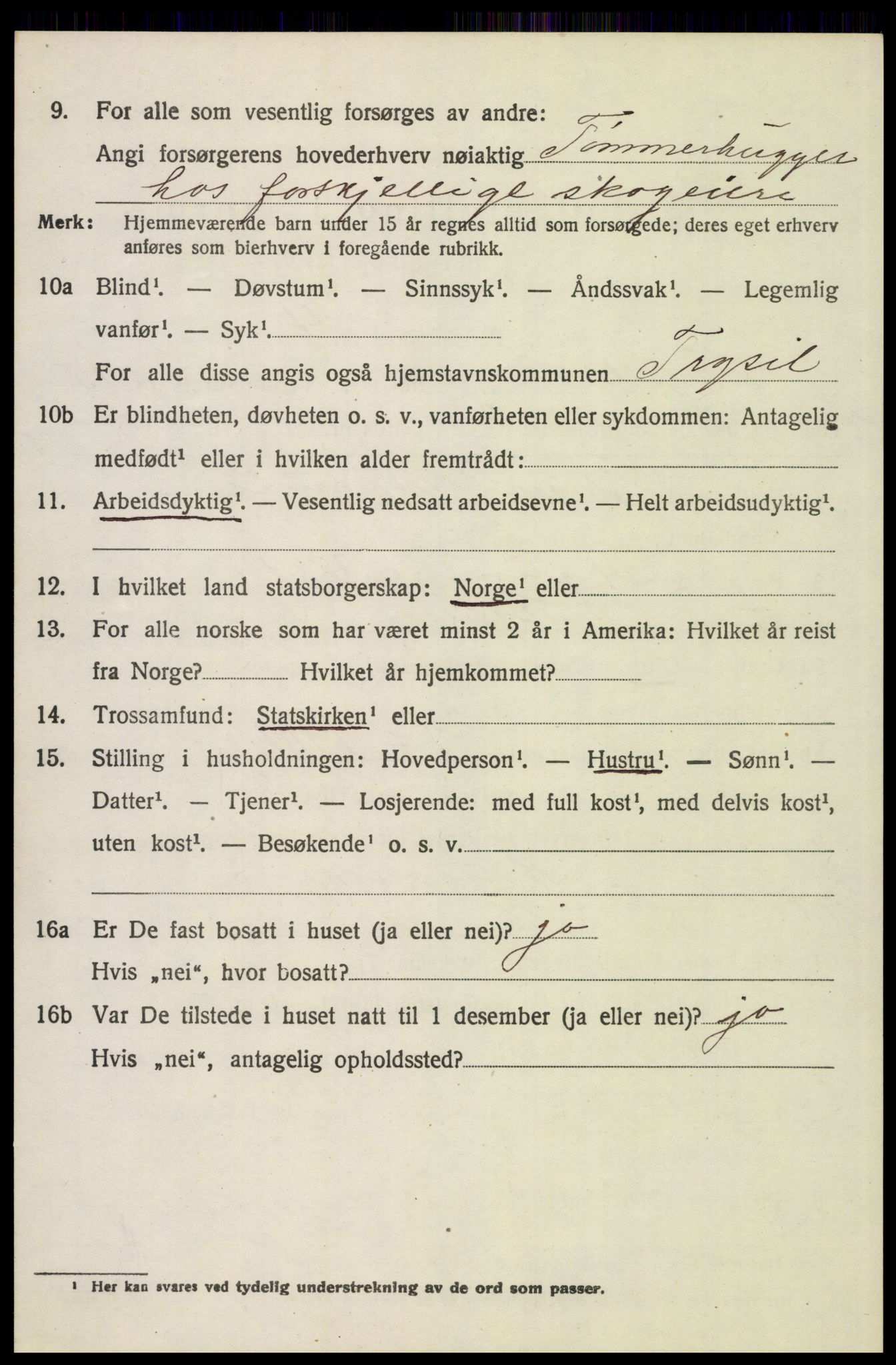 SAH, 1920 census for Trysil, 1920, p. 8804