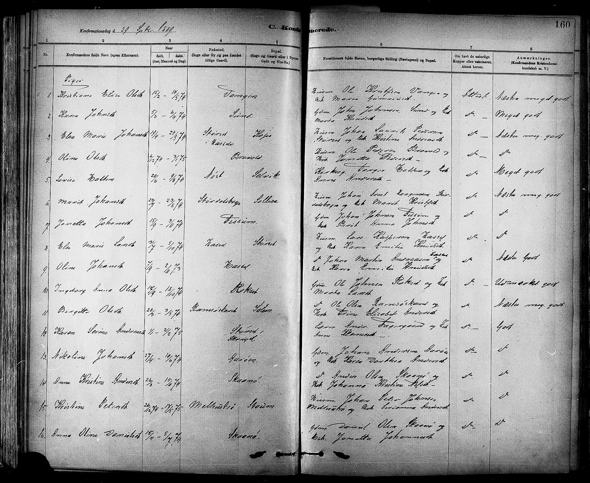 Ministerialprotokoller, klokkerbøker og fødselsregistre - Sør-Trøndelag, AV/SAT-A-1456/647/L0634: Parish register (official) no. 647A01, 1885-1896, p. 160