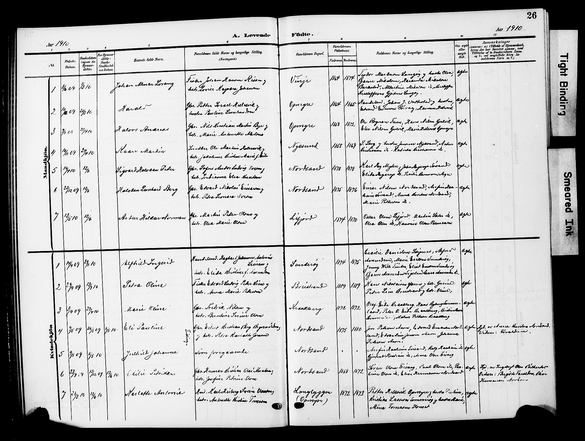 Ministerialprotokoller, klokkerbøker og fødselsregistre - Nordland, AV/SAT-A-1459/893/L1350: Parish register (copy) no. 893C05, 1906-1927, p. 26