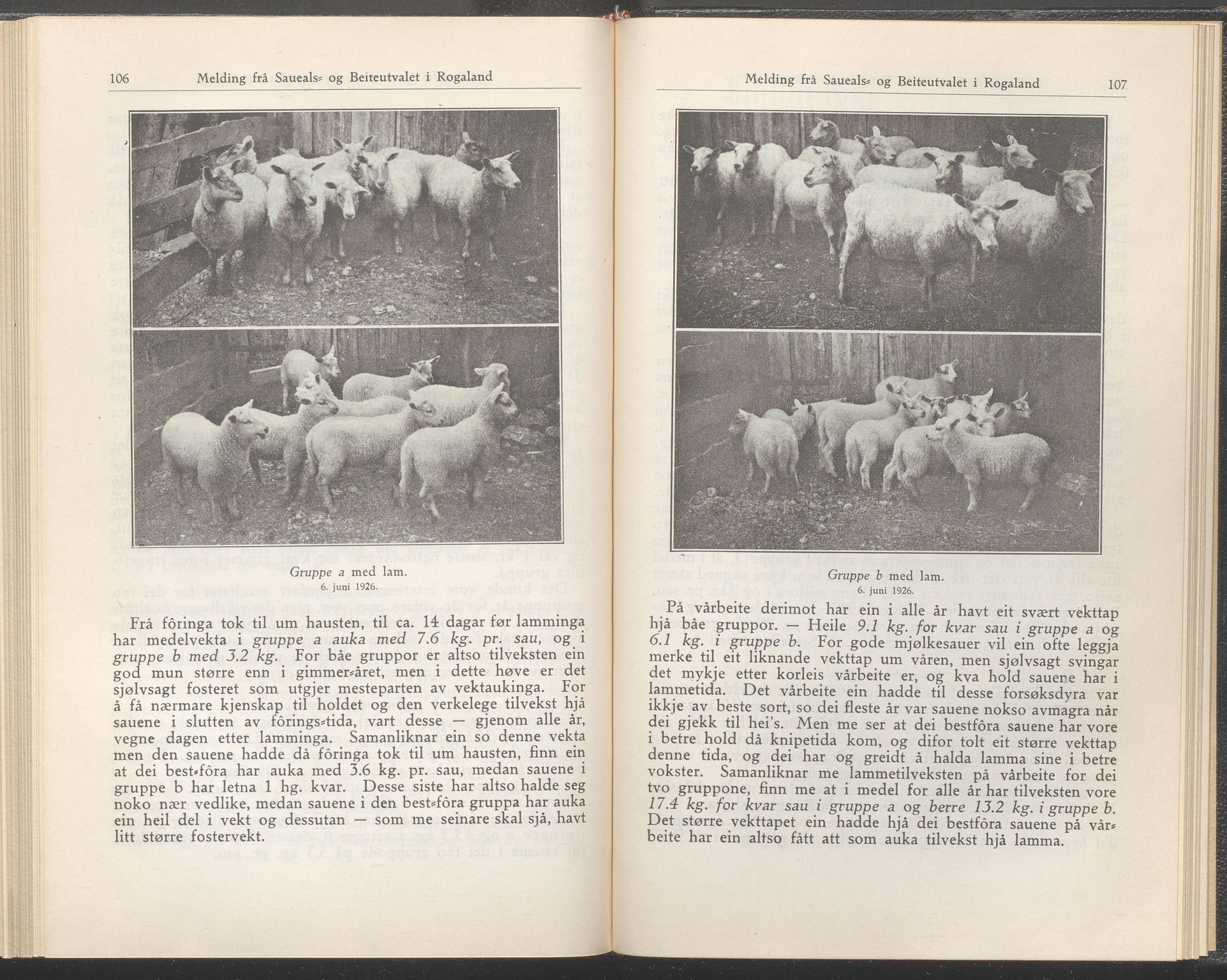 Rogaland fylkeskommune - Fylkesrådmannen , IKAR/A-900/A/Aa/Aaa/L0050: Møtebok , 1931, p. 106-107