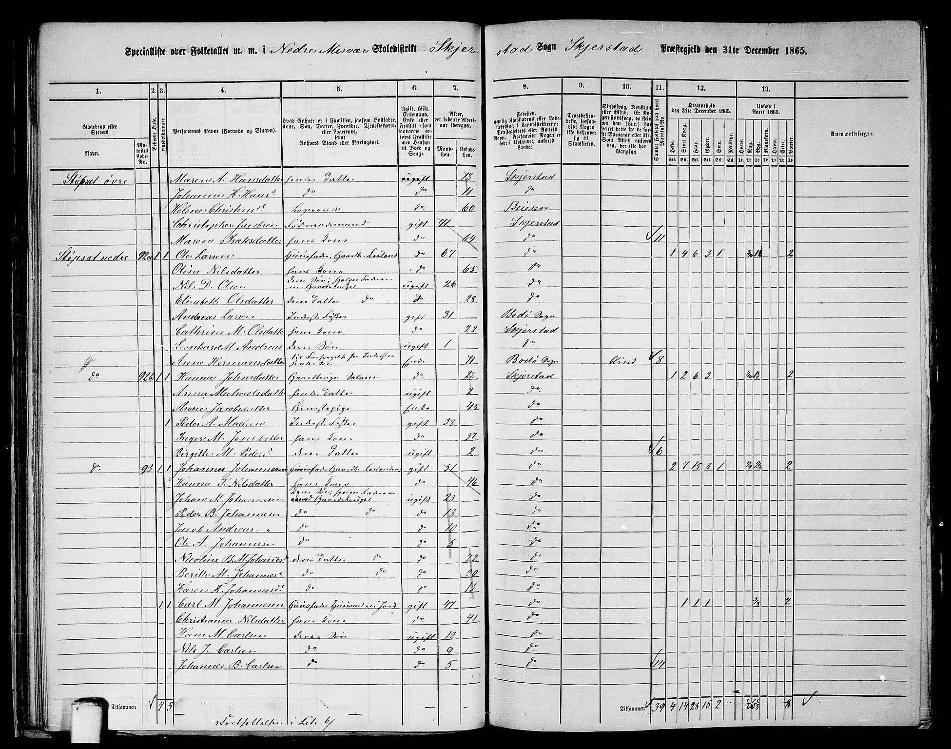 RA, 1865 census for Skjerstad, 1865, p. 47