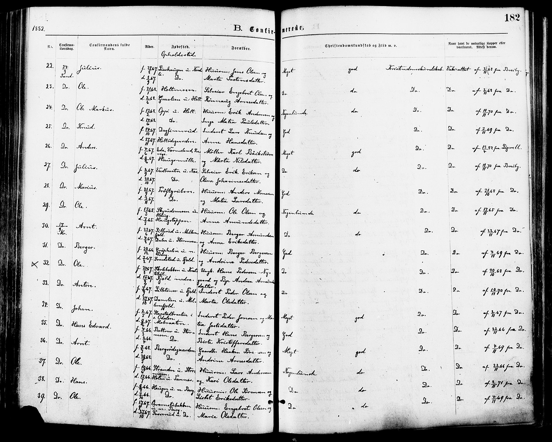 Nord-Odal prestekontor, AV/SAH-PREST-032/H/Ha/Haa/L0005: Parish register (official) no. 5, 1874-1885, p. 182