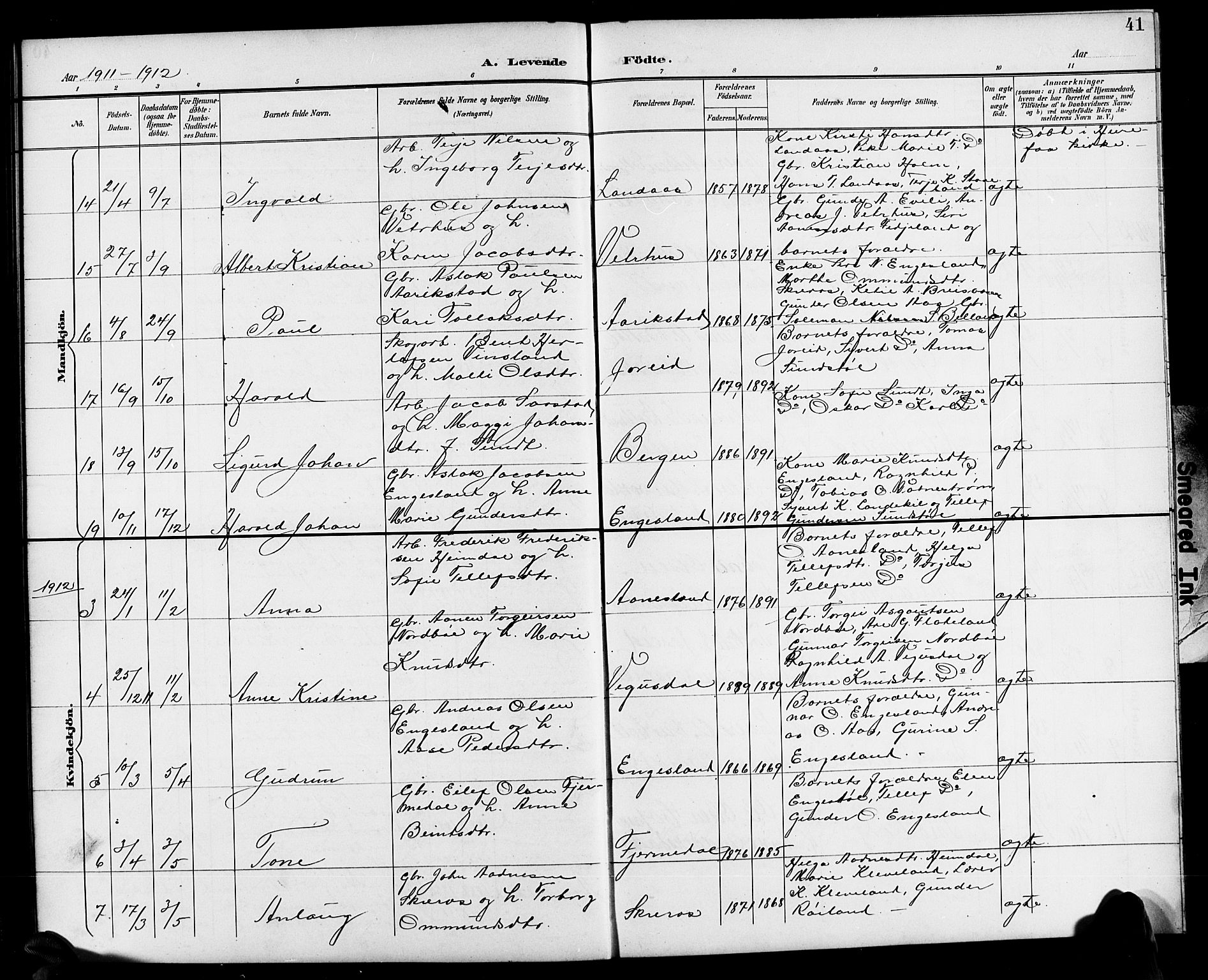 Herefoss sokneprestkontor, AV/SAK-1111-0019/F/Fb/Fbb/L0003: Parish register (copy) no. B 3, 1892-1917, p. 41