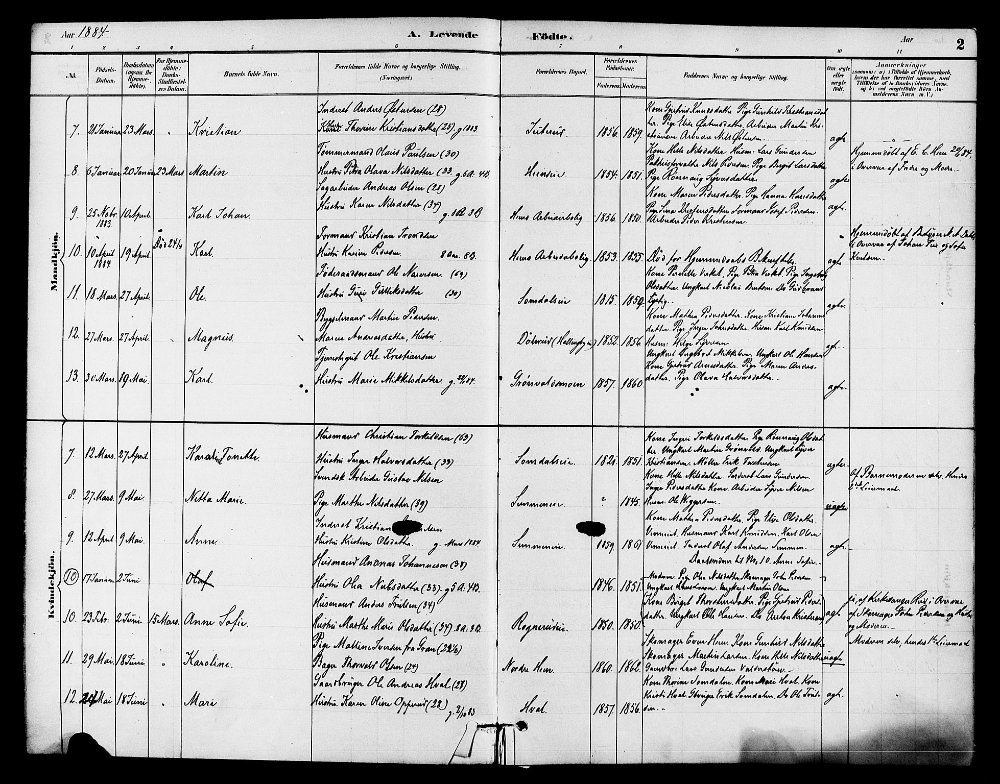 Ådal kirkebøker, AV/SAKO-A-248/F/Fb/L0001: Parish register (official) no. II 1, 1884-1897, p. 2