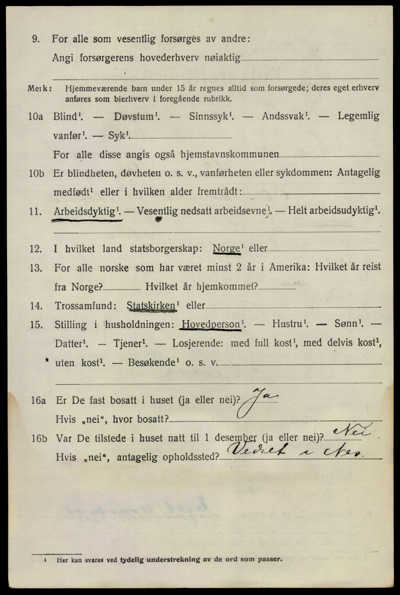 SAO, 1920 census for Nes, 1920, p. 11941