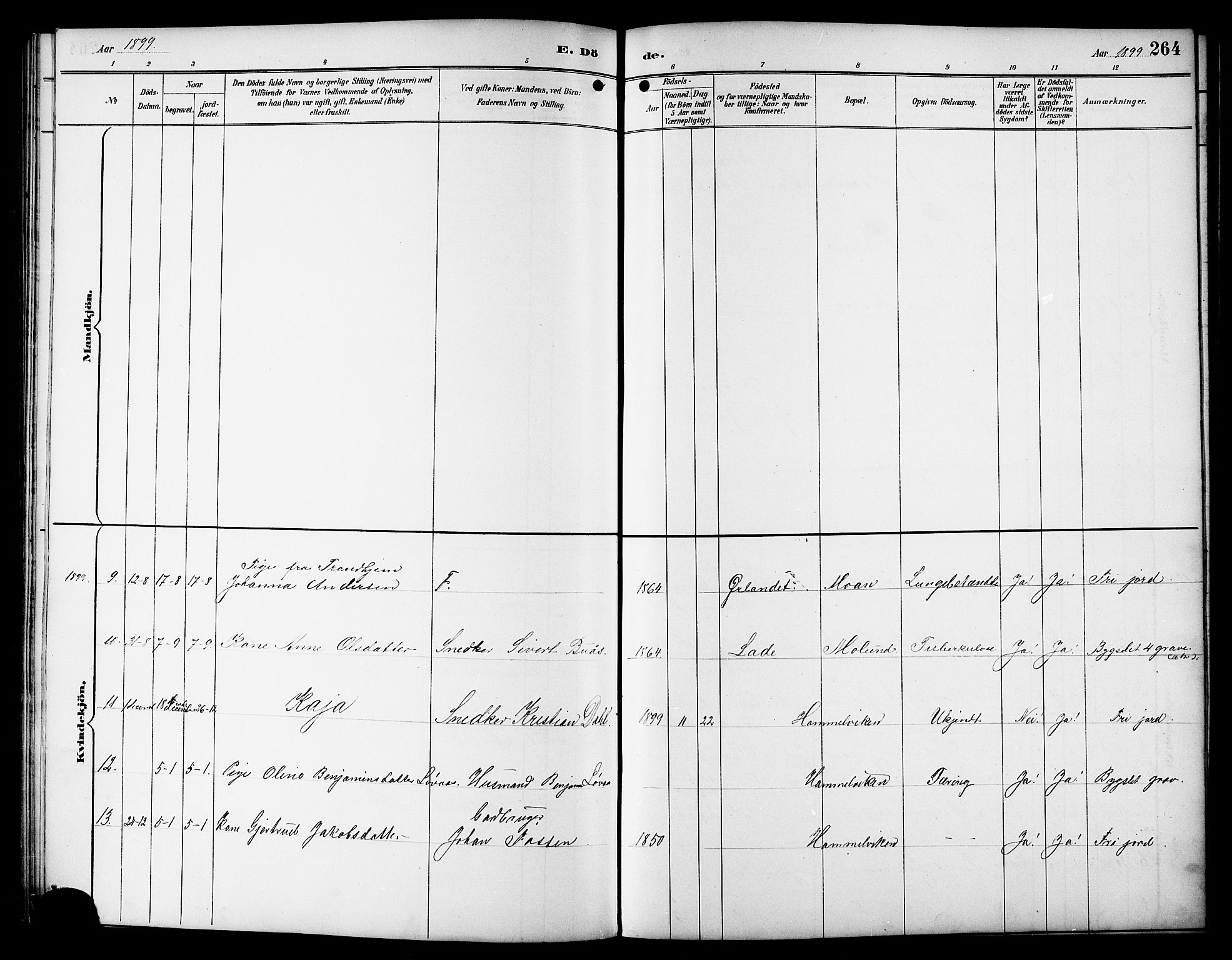 Ministerialprotokoller, klokkerbøker og fødselsregistre - Sør-Trøndelag, SAT/A-1456/617/L0431: Parish register (copy) no. 617C01, 1889-1910, p. 264