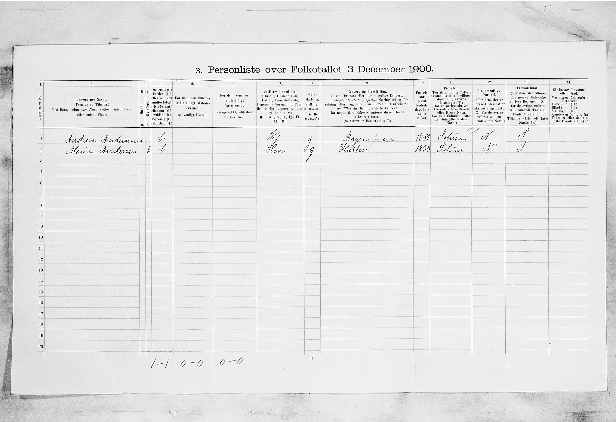 SAKO, 1900 census for Skien, 1900, p. 2323