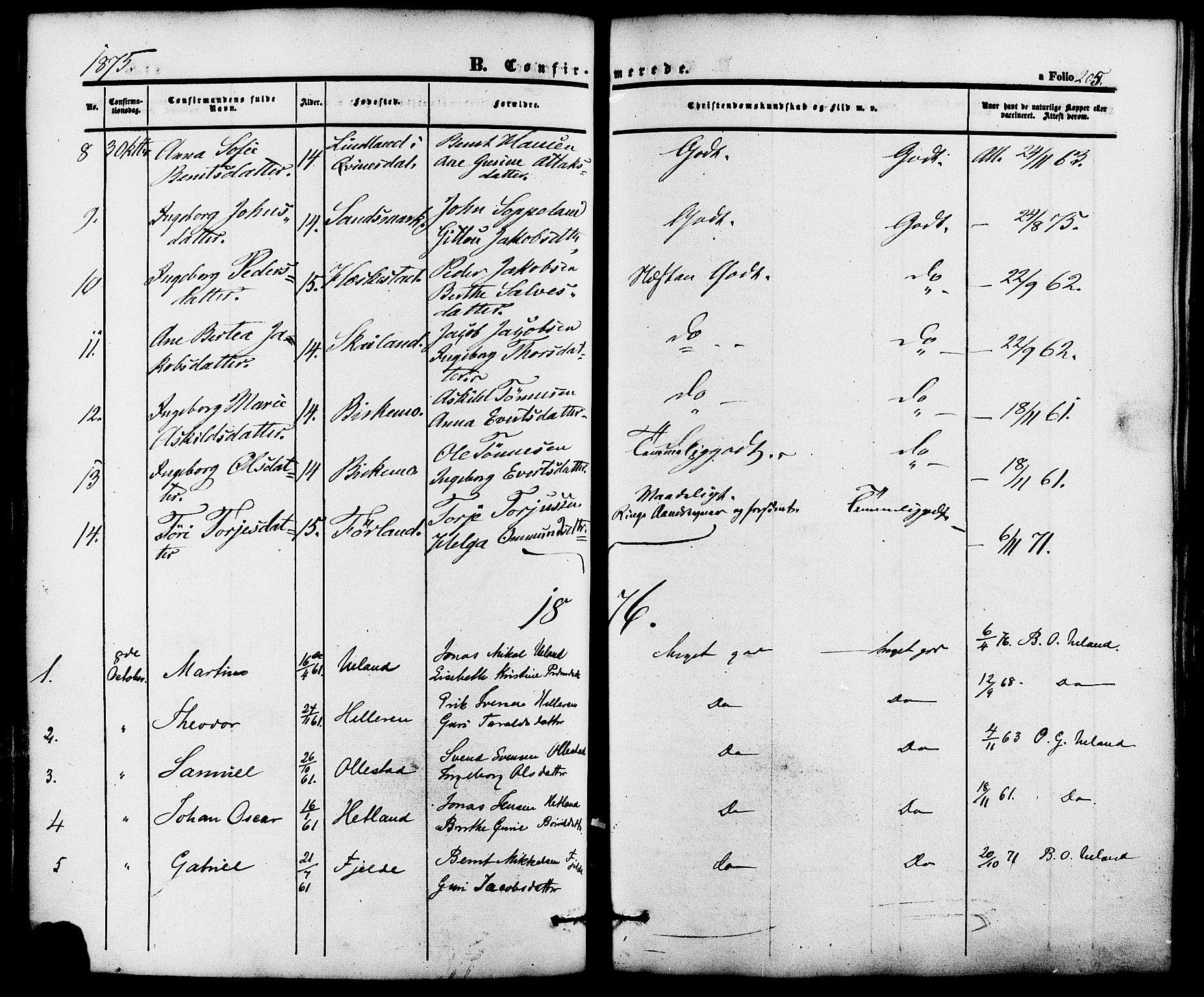 Lund sokneprestkontor, AV/SAST-A-101809/S06/L0010: Parish register (official) no. A 9, 1854-1886, p. 205