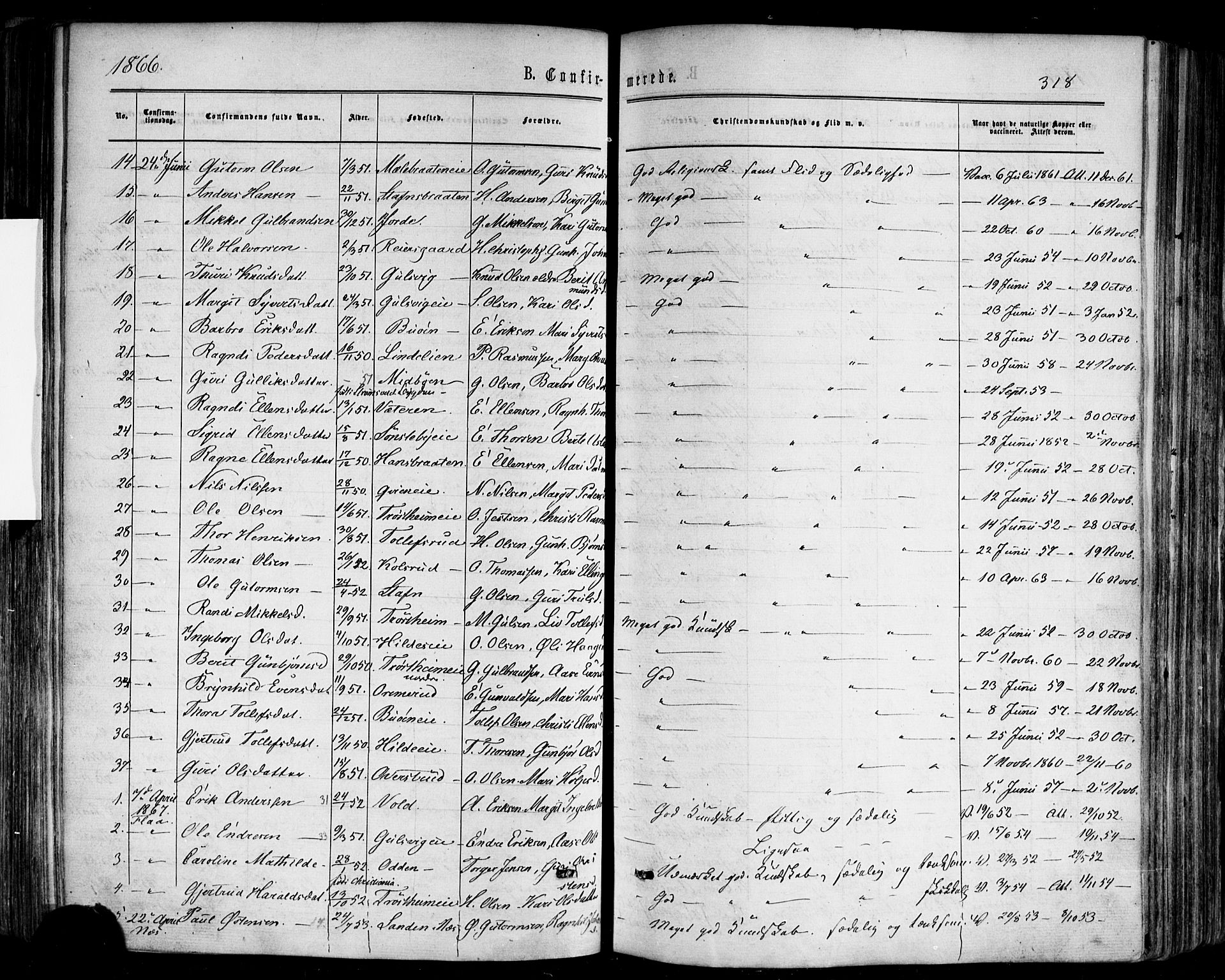Nes kirkebøker, SAKO/A-236/F/Fa/L0010: Parish register (official) no. 10, 1864-1880, p. 318