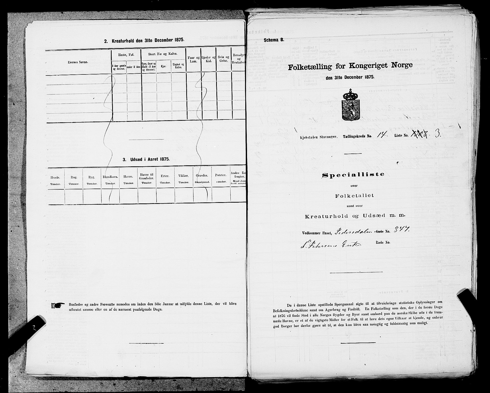 SAST, 1875 census for 1103 Stavanger, 1875, p. 2737