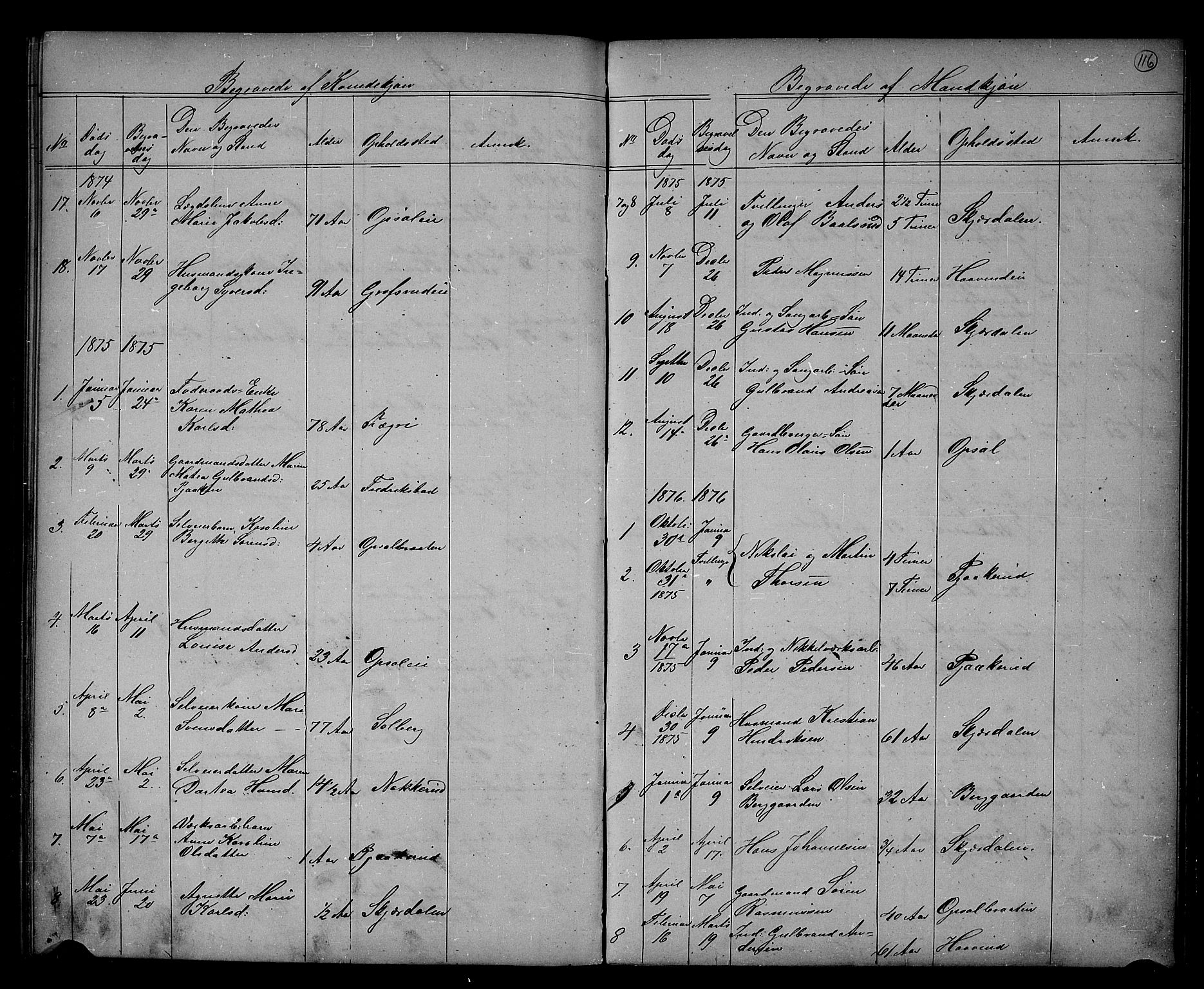 Hole kirkebøker, SAKO/A-228/G/Gb/L0001: Parish register (copy) no. II 1, 1859-1878, p. 116