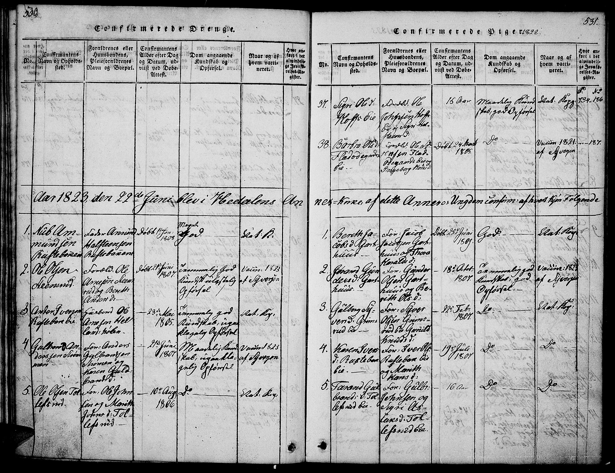 Sør-Aurdal prestekontor, SAH/PREST-128/H/Ha/Hab/L0001: Parish register (copy) no. 1, 1815-1826, p. 530-531