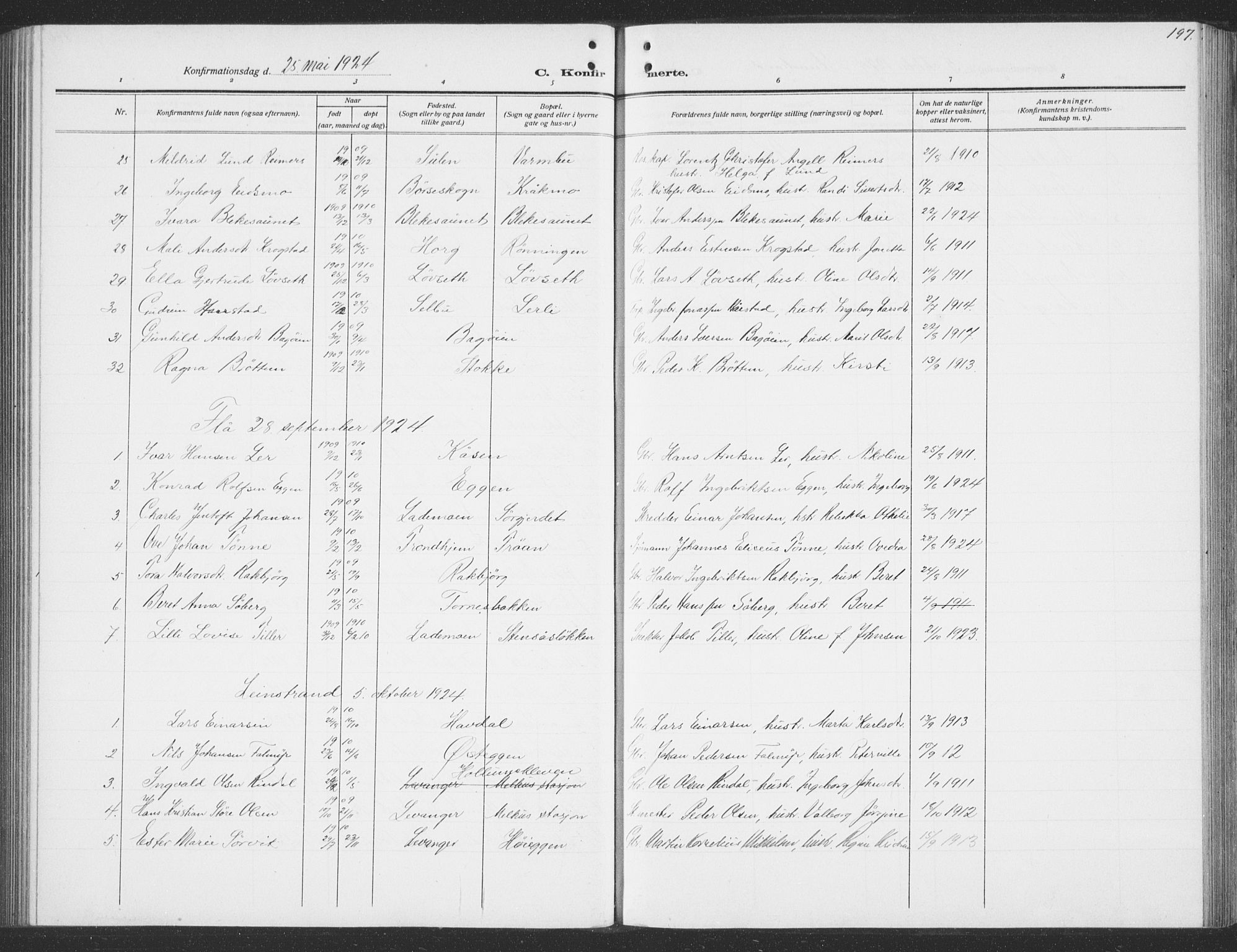 Ministerialprotokoller, klokkerbøker og fødselsregistre - Sør-Trøndelag, SAT/A-1456/691/L1095: Parish register (copy) no. 691C06, 1912-1933, p. 197