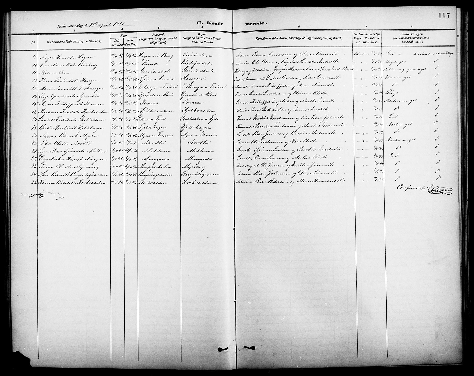 Nord-Odal prestekontor, SAH/PREST-032/H/Ha/Hab/L0002: Parish register (copy) no. 2, 1895-1921, p. 117