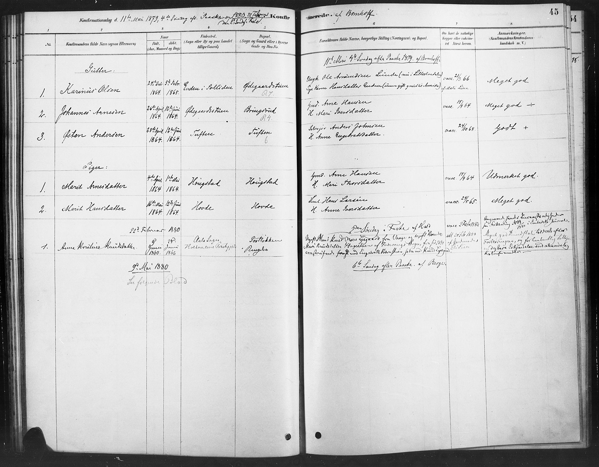 Ringebu prestekontor, SAH/PREST-082/H/Ha/Haa/L0010: Parish register (official) no. 10, 1878-1898, p. 45