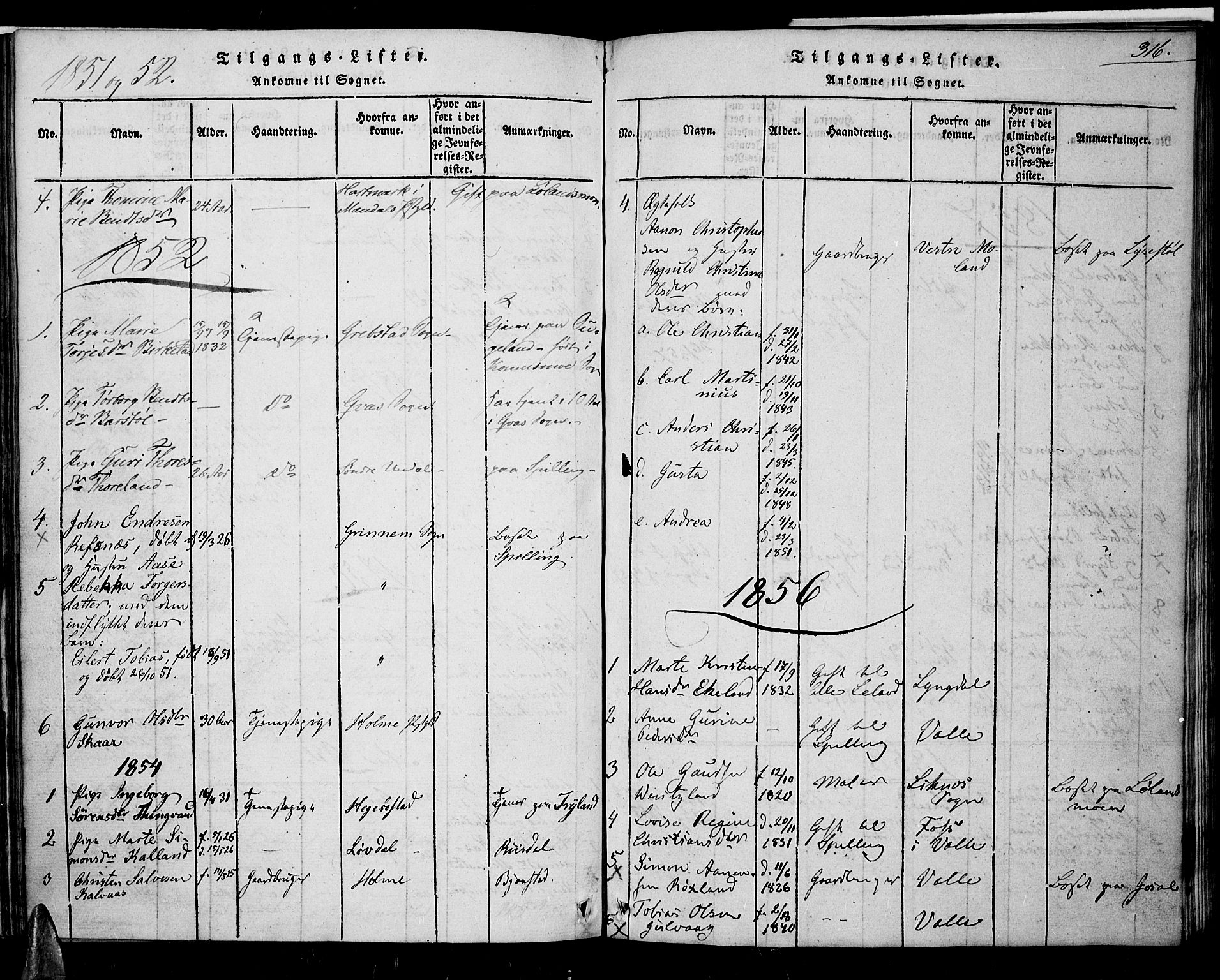 Nord-Audnedal sokneprestkontor, SAK/1111-0032/F/Fa/Fab/L0001: Parish register (official) no. A 1, 1816-1858, p. 316