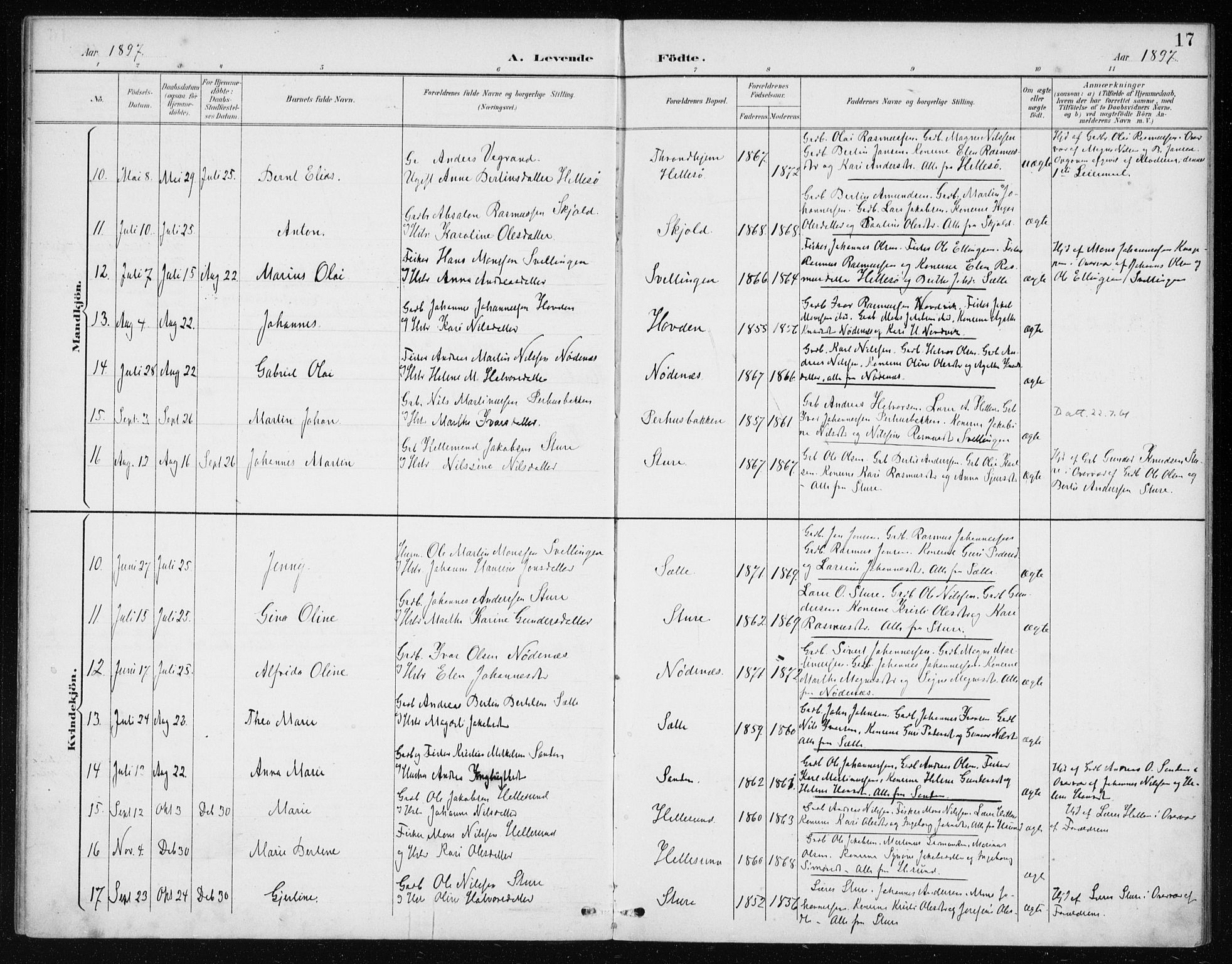 Manger sokneprestembete, SAB/A-76801/H/Haa: Parish register (official) no. E  2, 1891-1902, p. 17