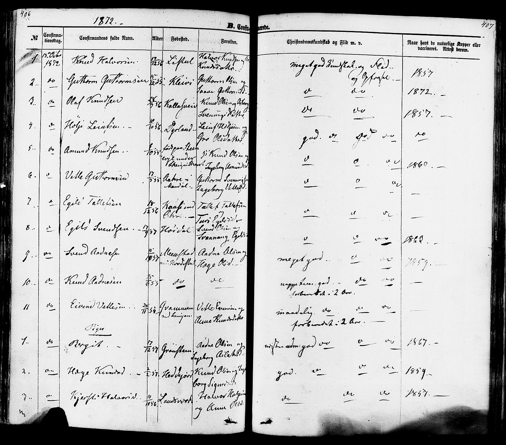 Seljord kirkebøker, SAKO/A-20/F/Fa/L0013: Parish register (official) no. I 13, 1866-1876, p. 406-407