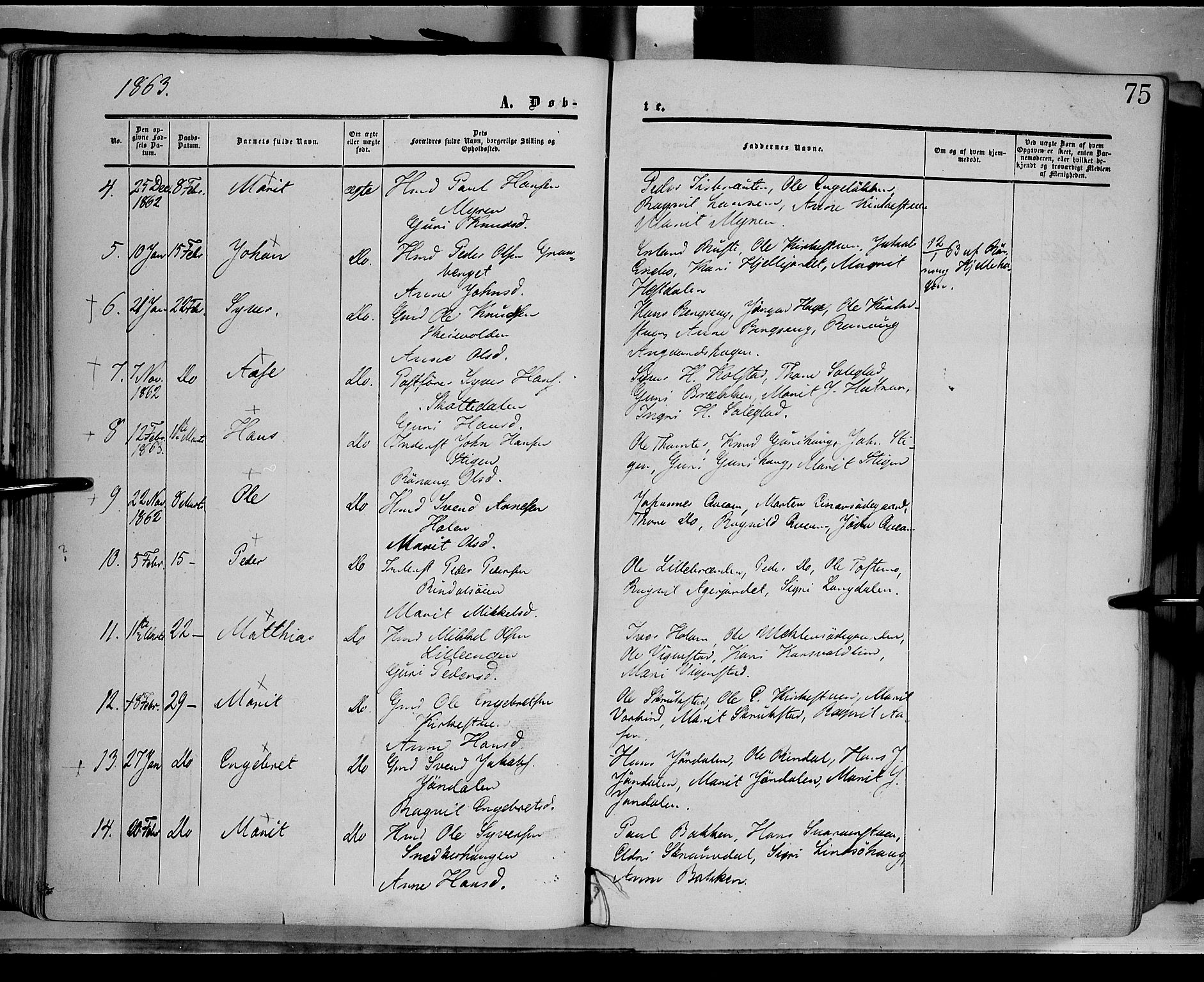 Dovre prestekontor, SAH/PREST-066/H/Ha/Haa/L0001: Parish register (official) no. 1, 1854-1878, p. 75