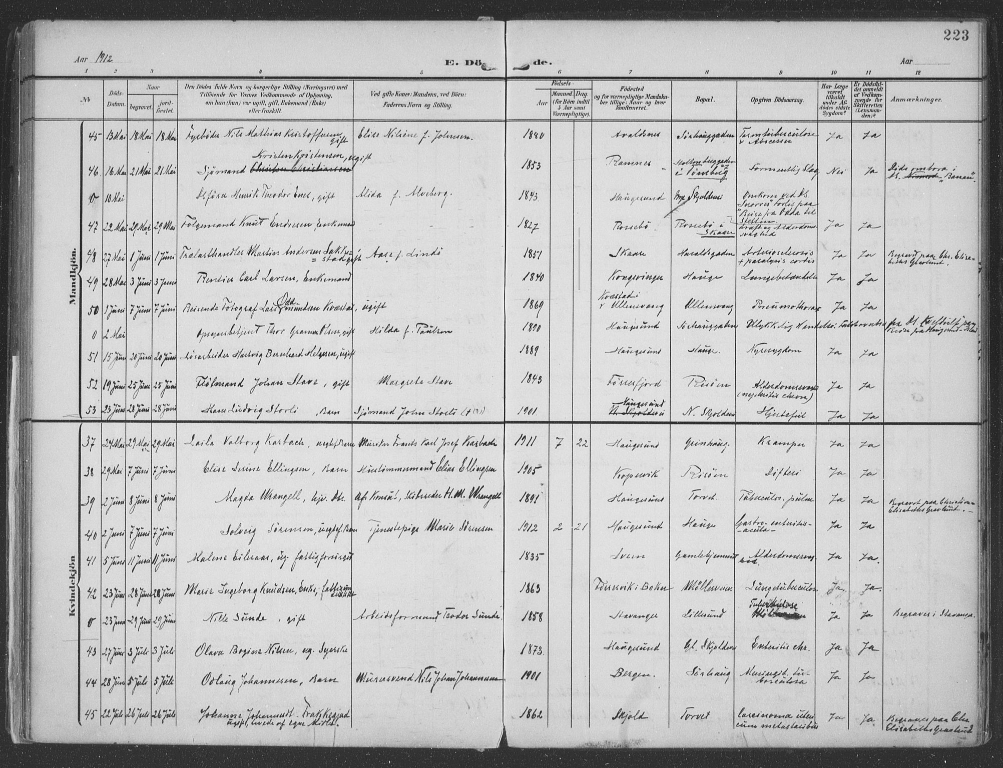 Haugesund sokneprestkontor, AV/SAST-A -101863/H/Ha/Haa/L0007: Parish register (official) no. A 7, 1904-1916, p. 223