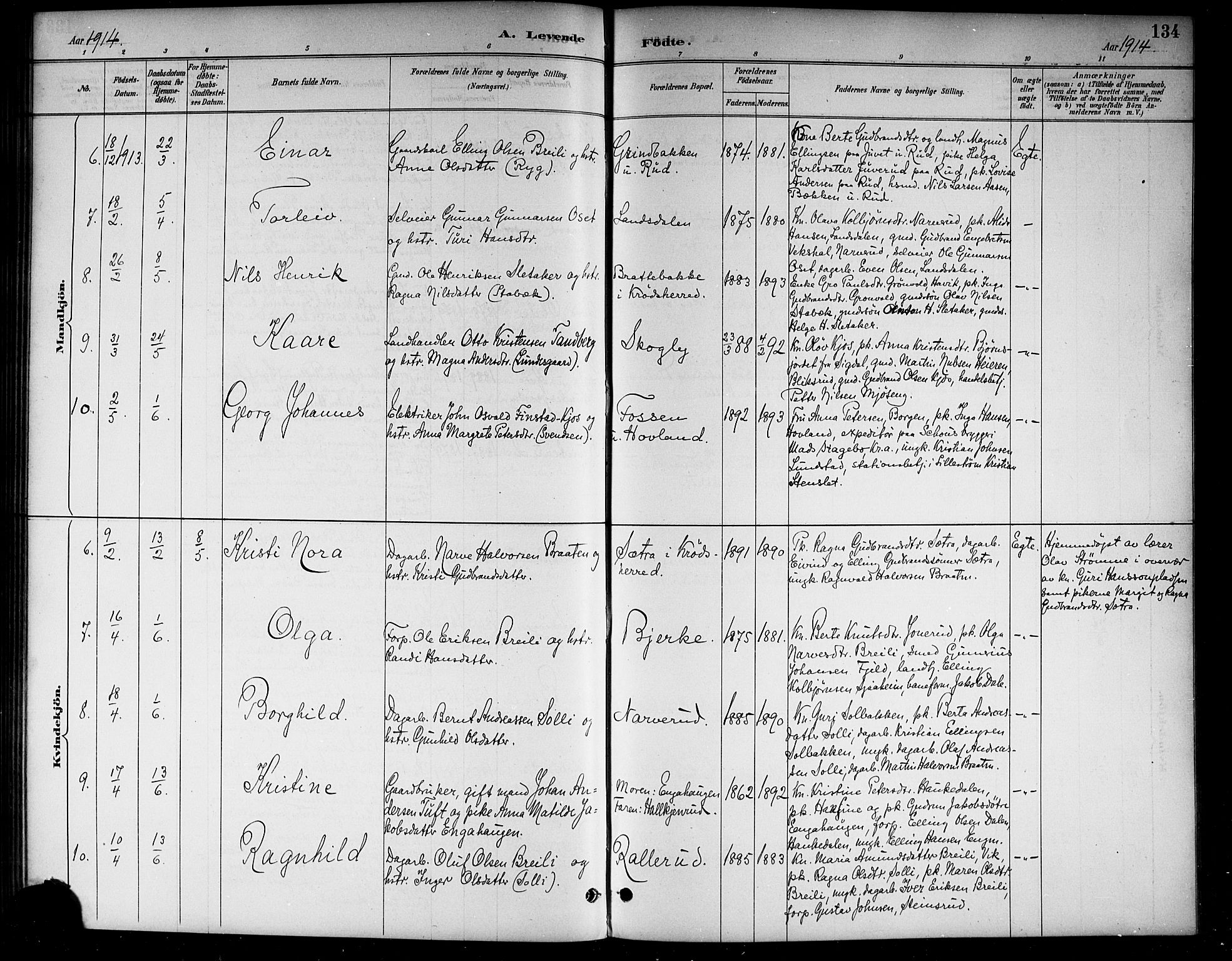 Lunder kirkebøker, AV/SAKO-A-629/G/Ga/L0004: Parish register (copy) no. I 4, 1889-1917, p. 134