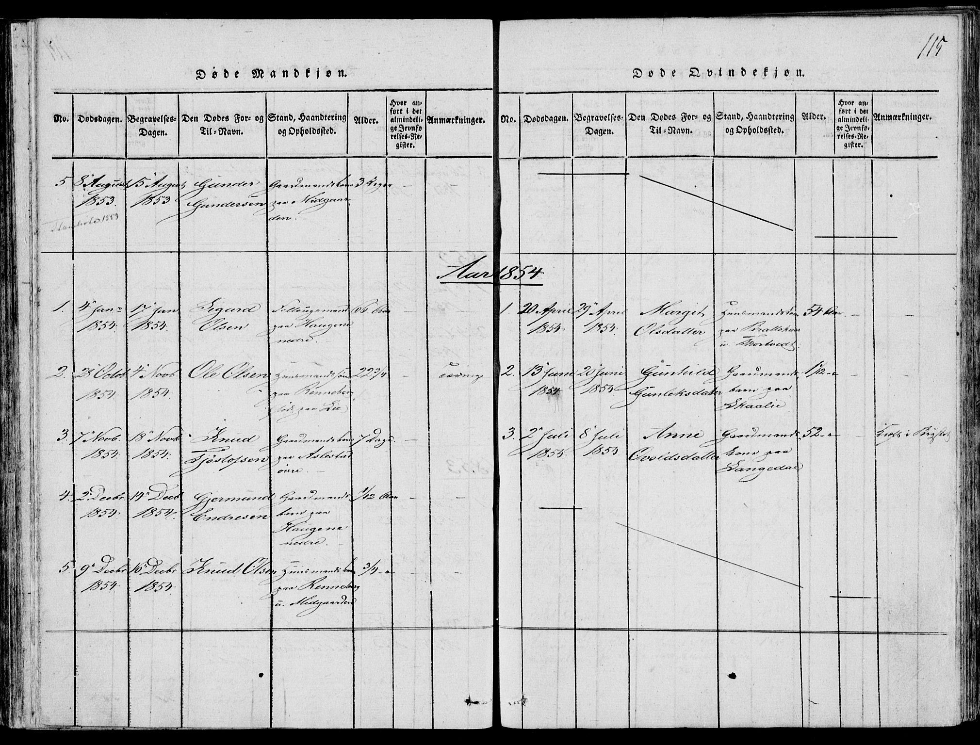 Fyresdal kirkebøker, SAKO/A-263/F/Fb/L0001: Parish register (official) no. II 1, 1815-1854, p. 115