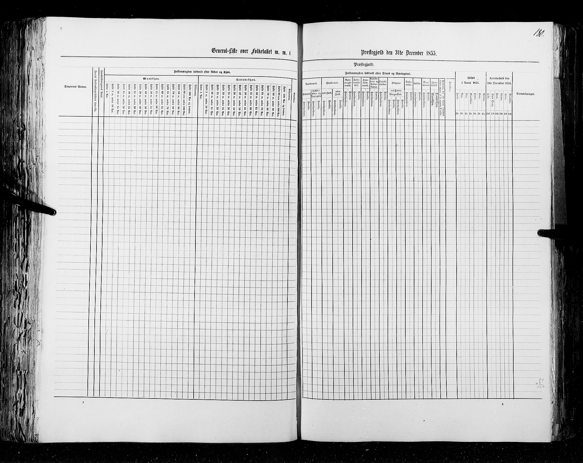 RA, Census 1855, vol. 2: Kristians amt, Buskerud amt og Jarlsberg og Larvik amt, 1855, p. 180