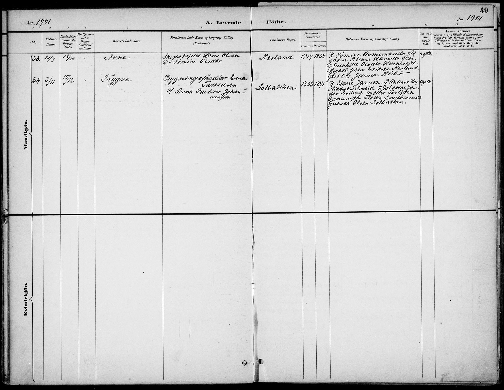 Drangedal kirkebøker, SAKO/A-258/F/Fa/L0012: Parish register (official) no. 12, 1895-1905, p. 49