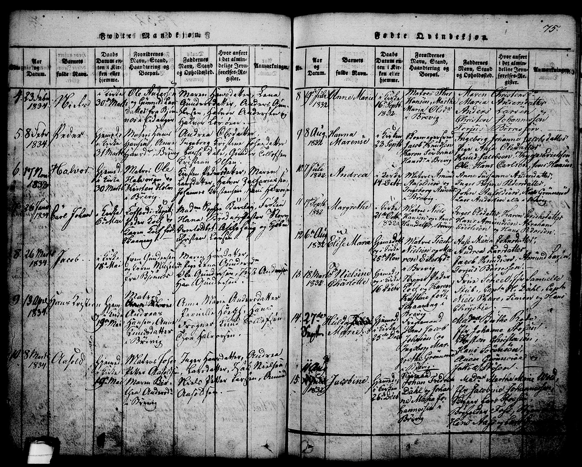 Brevik kirkebøker, AV/SAKO-A-255/G/Ga/L0001: Parish register (copy) no. 1, 1814-1845, p. 75
