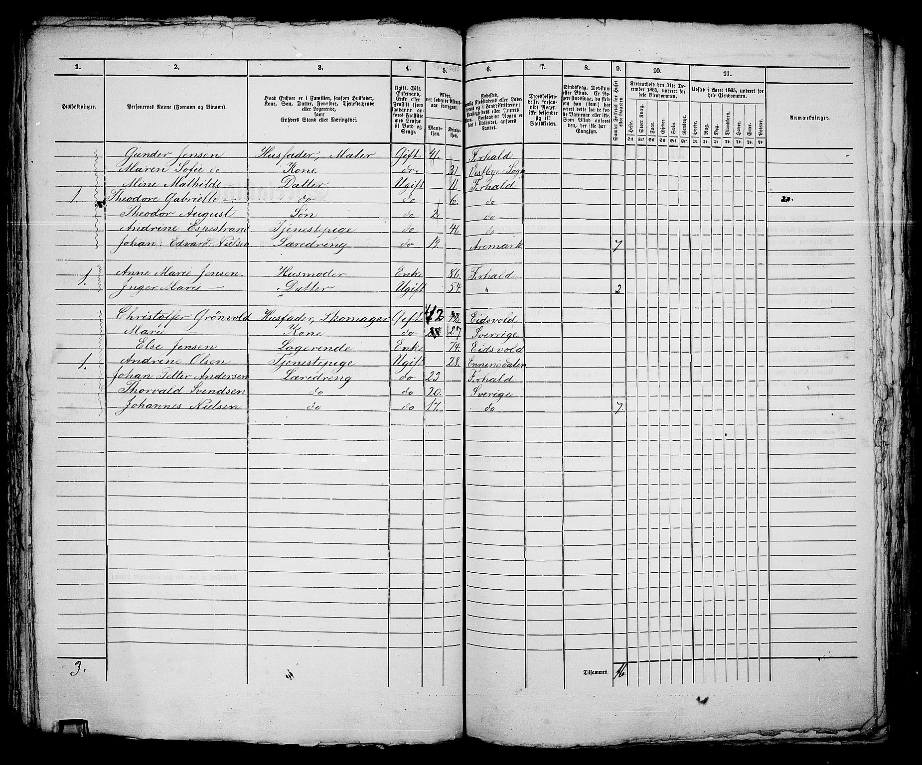 RA, 1865 census for Fredrikshald, 1865, p. 635