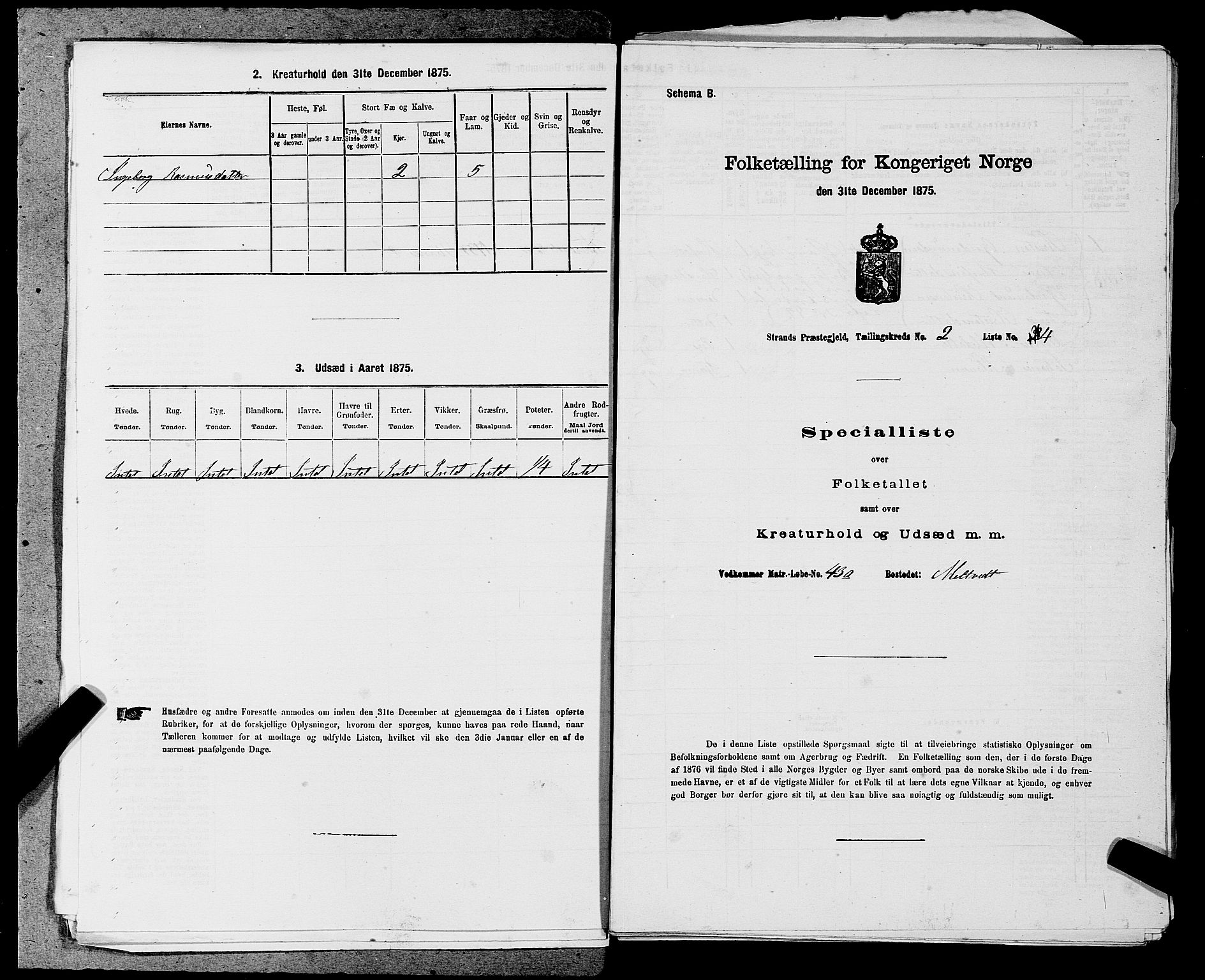 SAST, 1875 census for 1130P Strand, 1875, p. 166