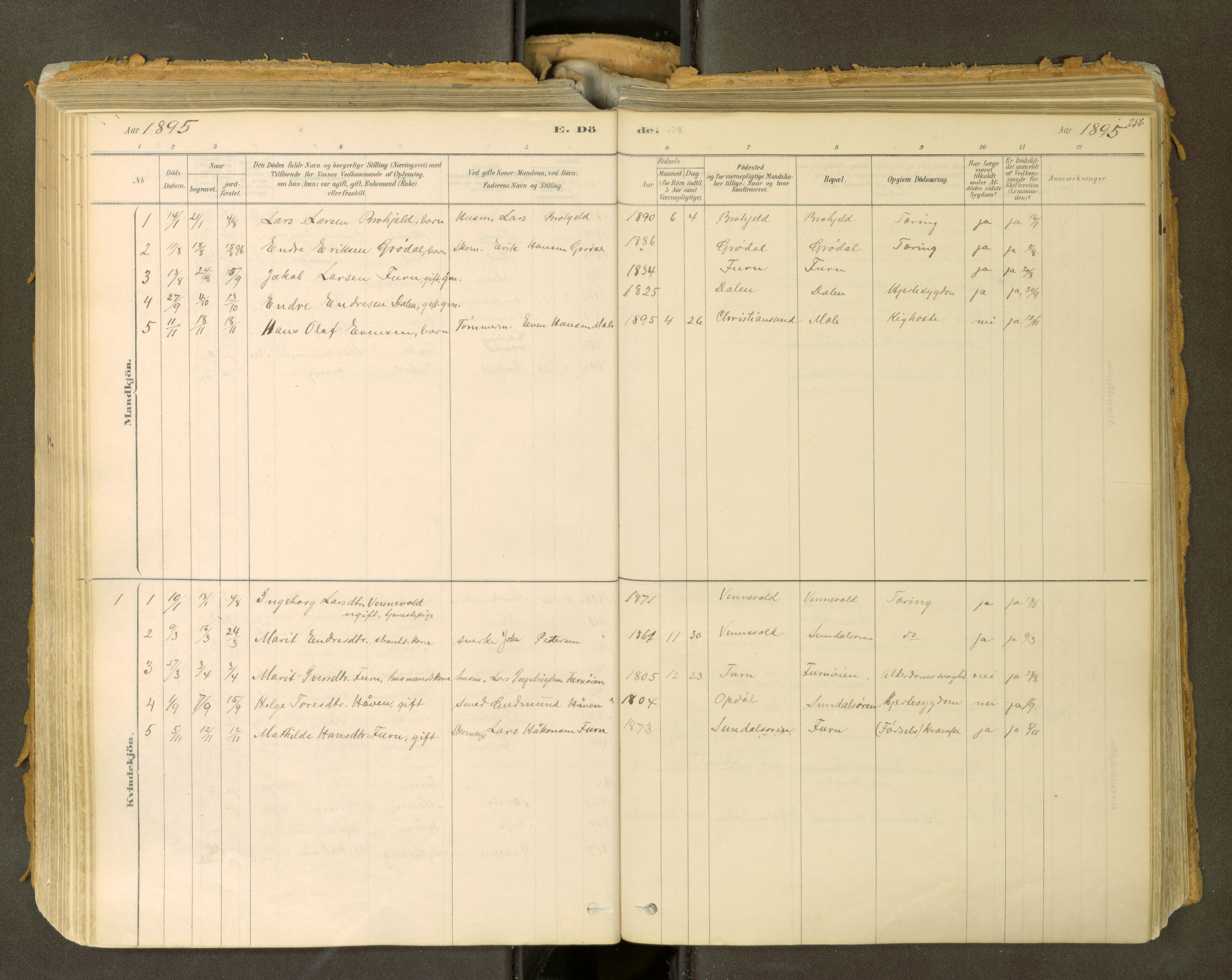 Sunndal sokneprestkontor, SAT/A-1085/1/I/I1/I1a: Parish register (official) no. 2, 1877-1914, p. 256