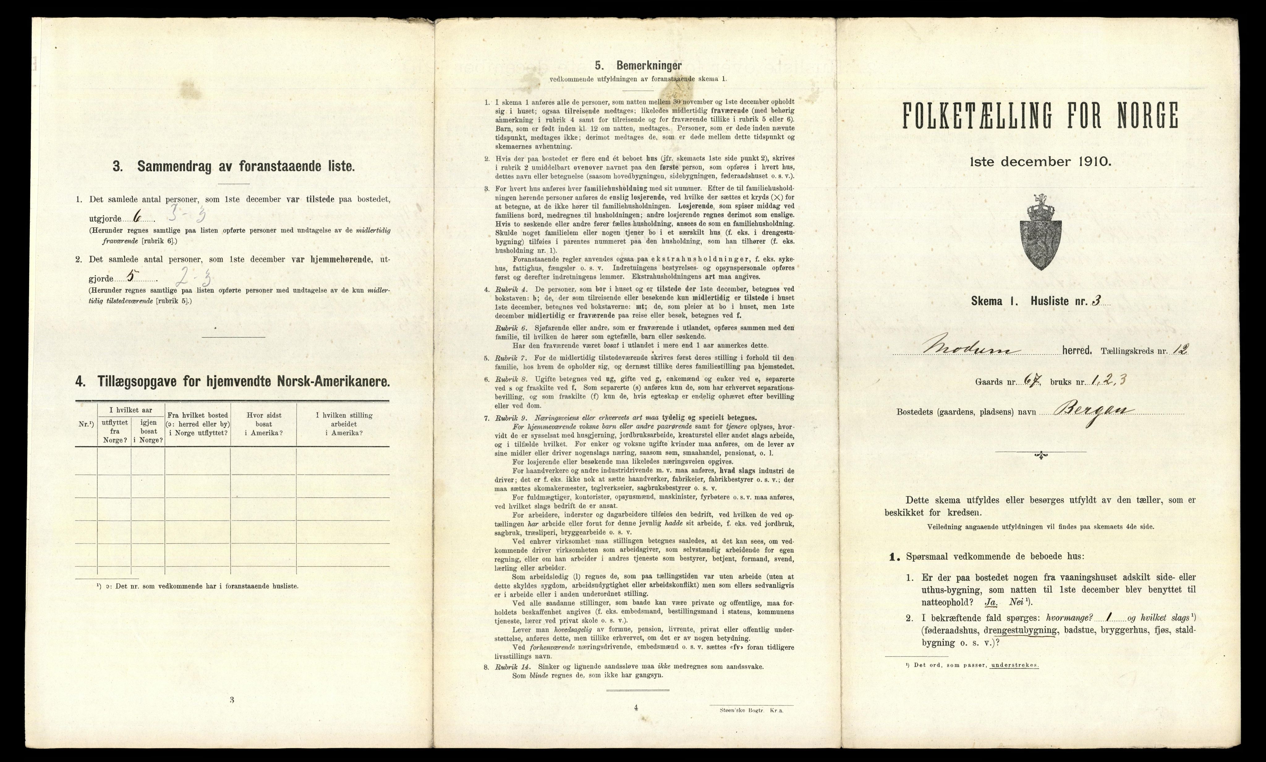 RA, 1910 census for Modum, 1910, p. 2138