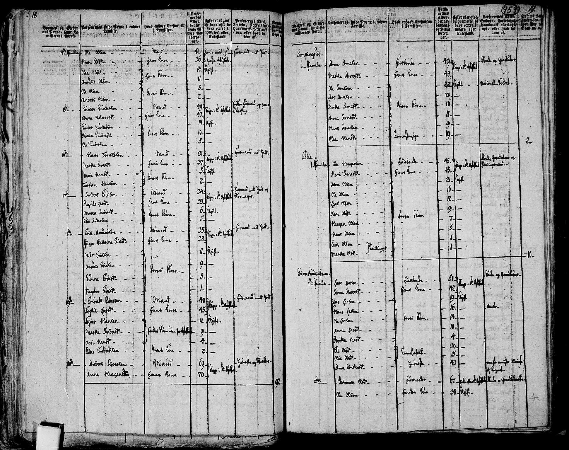 RA, 1801 census for 0421P Vinger, 1801, p. 458b-459a