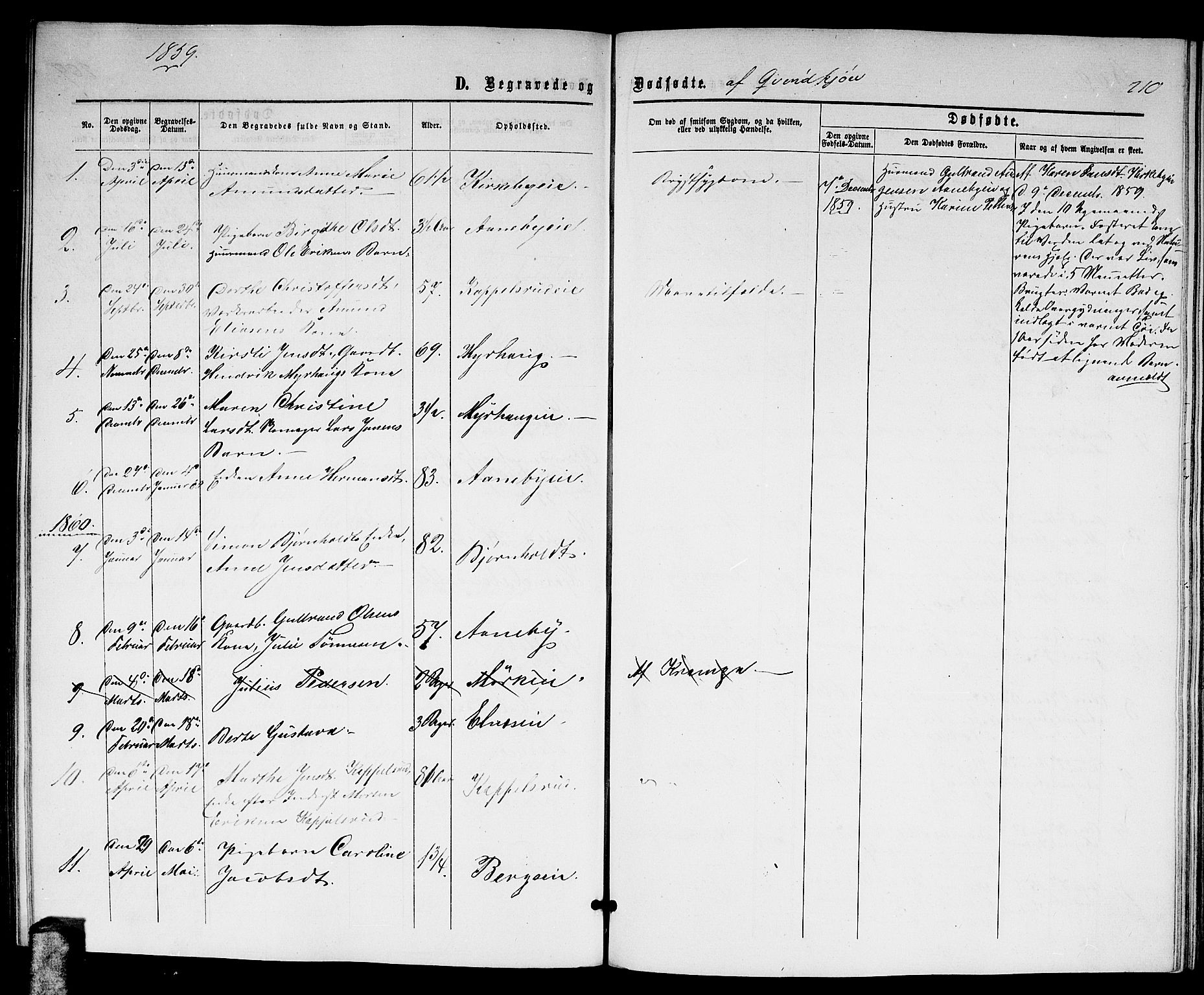 Nittedal prestekontor Kirkebøker, SAO/A-10365a/G/Gb/L0001: Parish register (copy) no. II 1, 1859-1878, p. 210